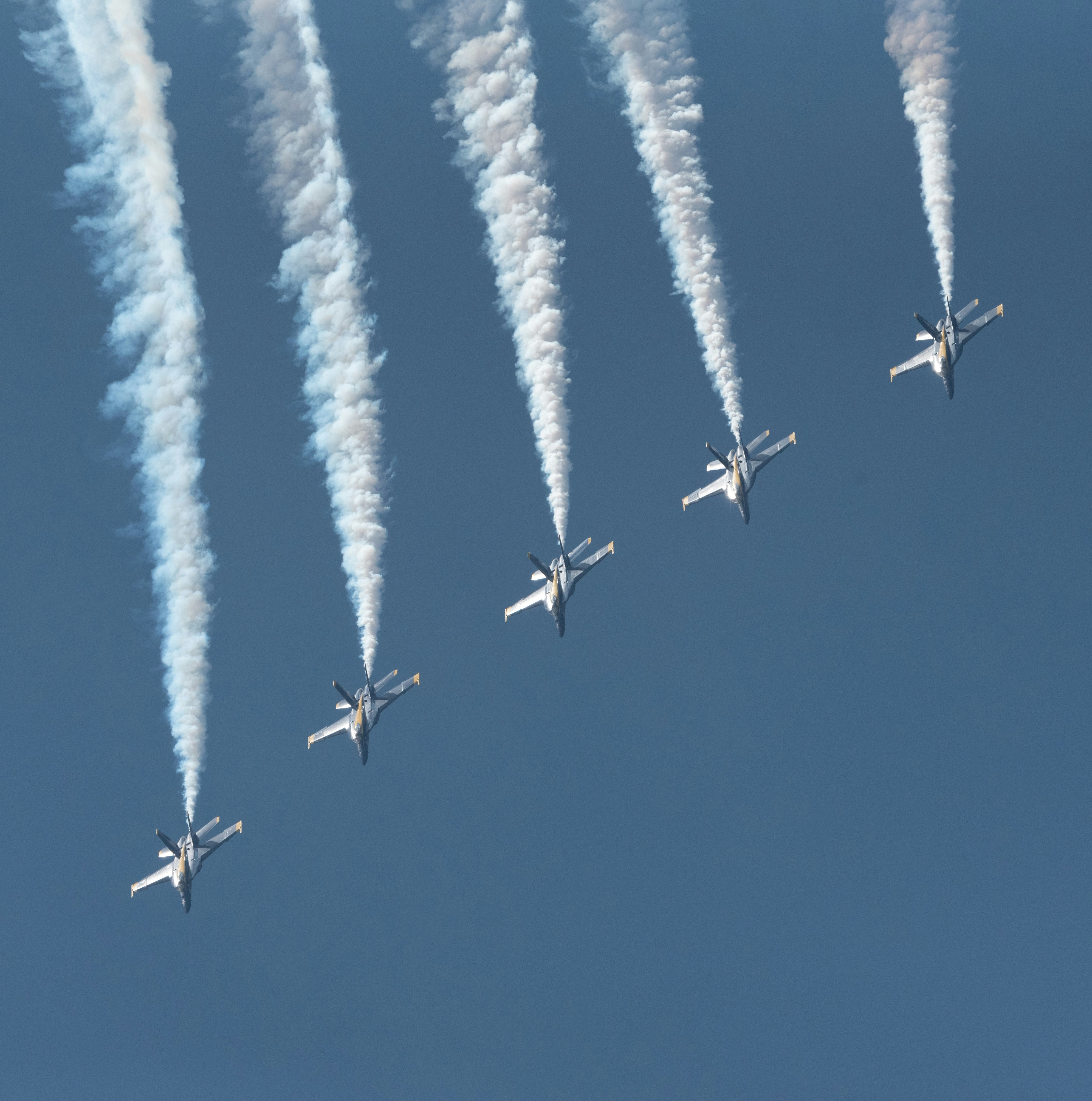 Photo by manuelsilva