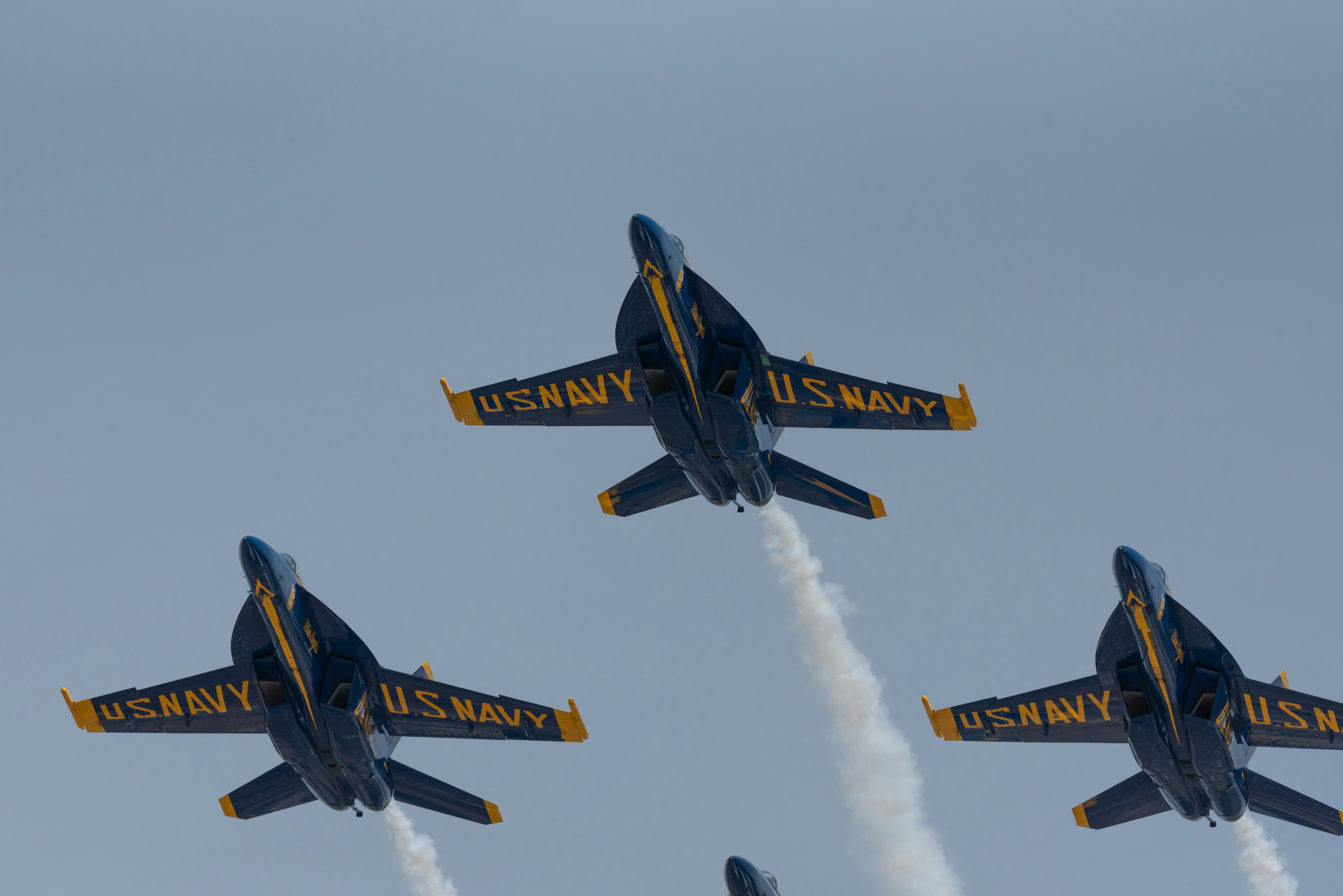 Photo by manuelsilva