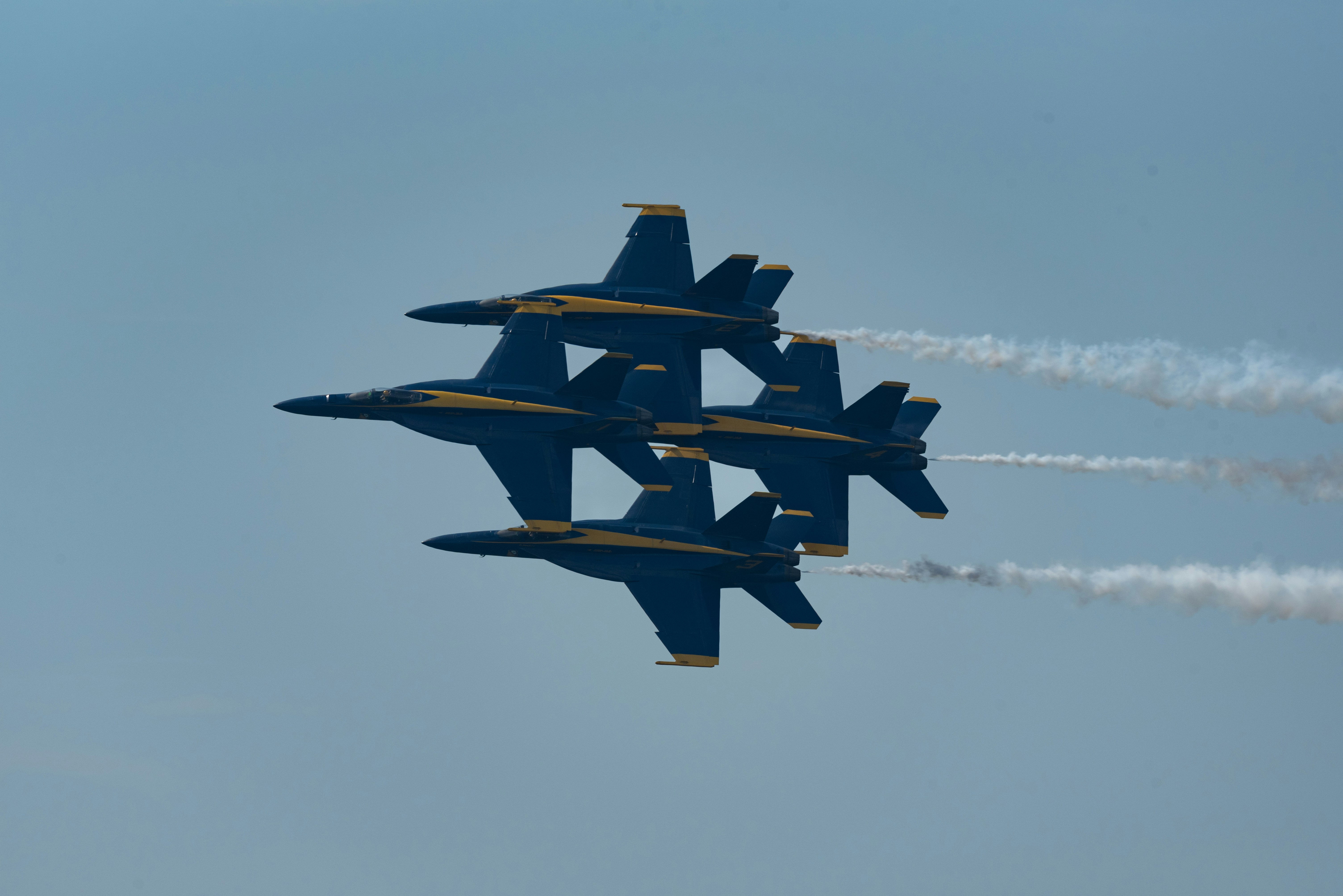 Photo by manuelsilva