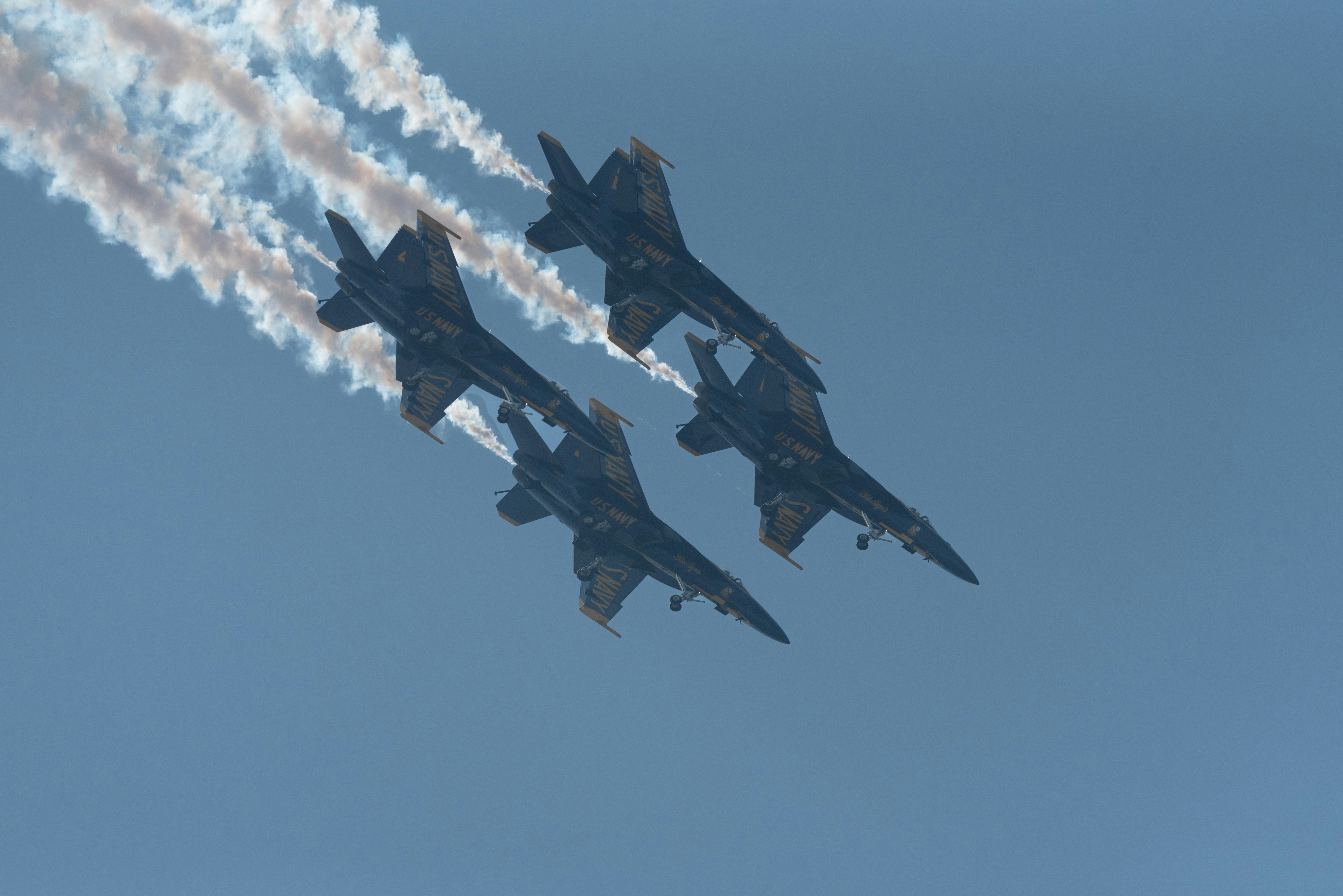 Photo by manuelsilva