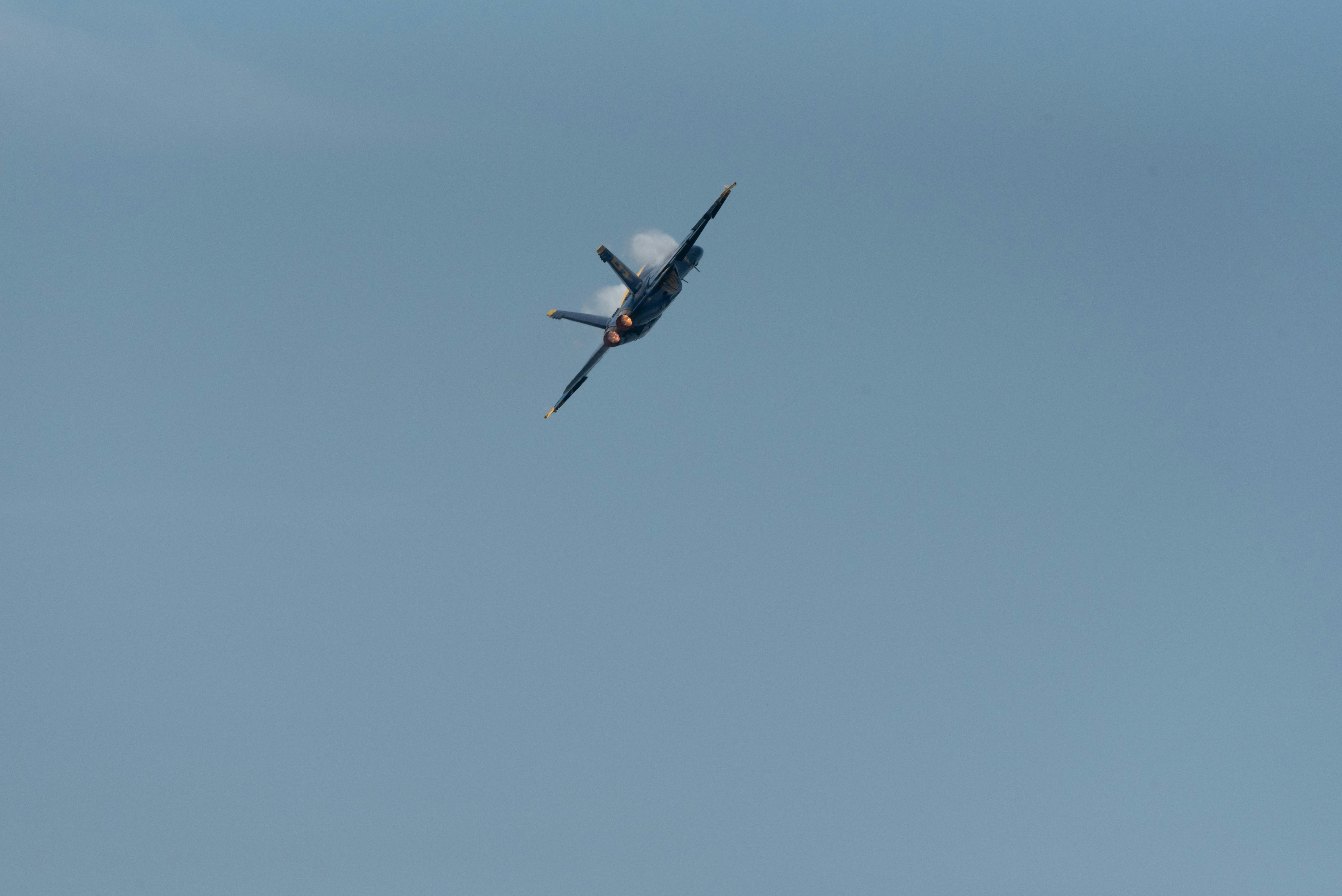 Photo by manuelsilva