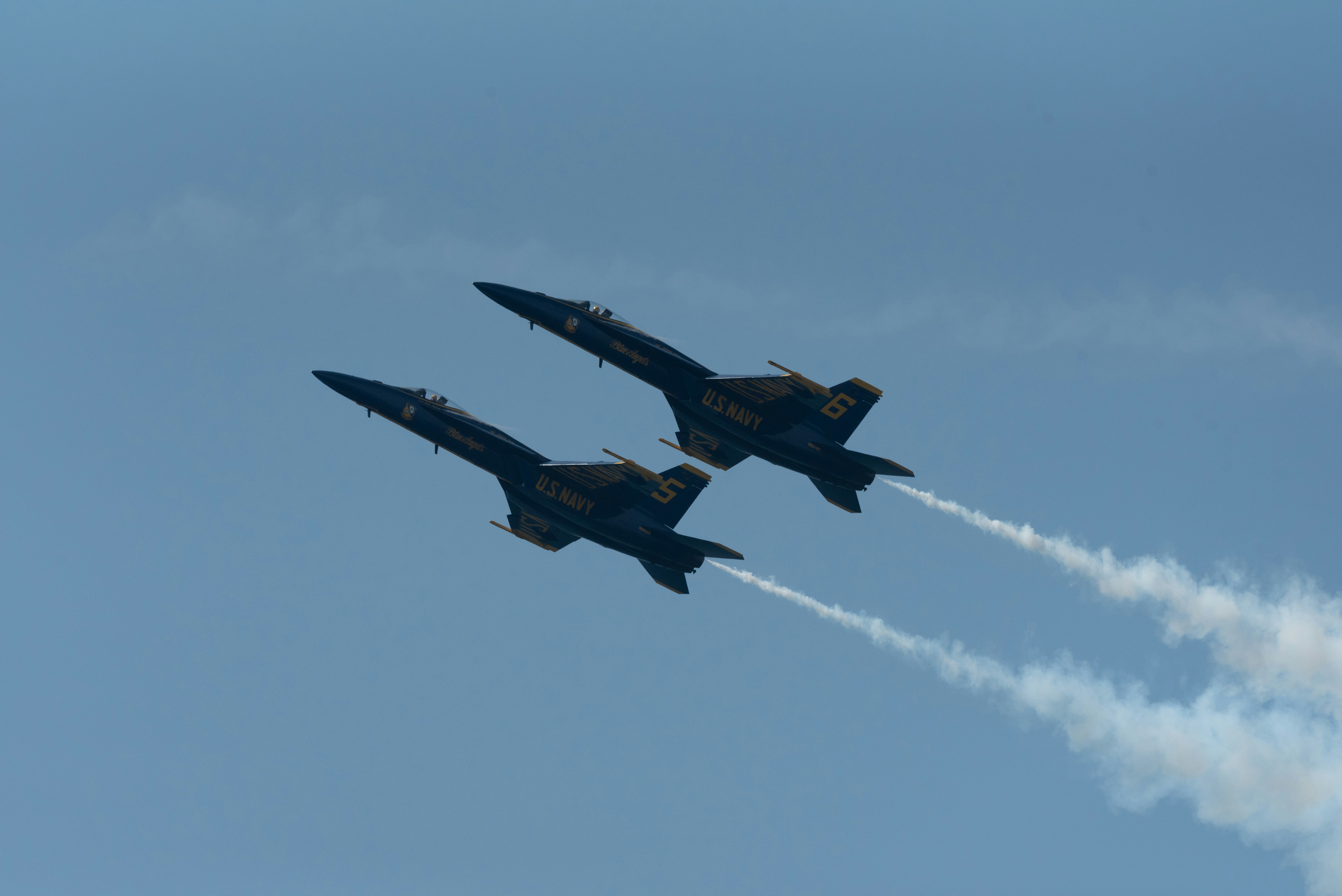 Photo by manuelsilva