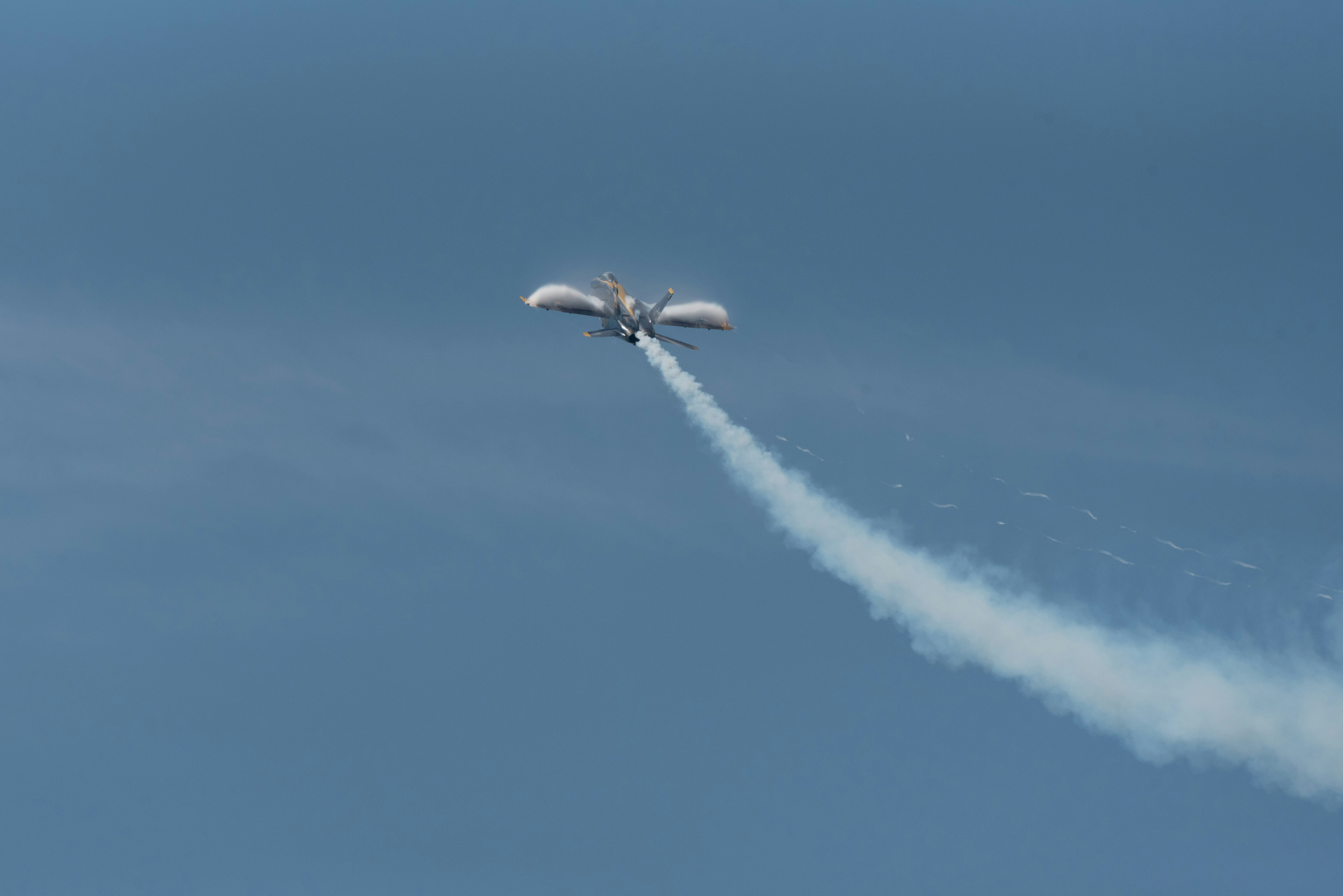 Photo by manuelsilva