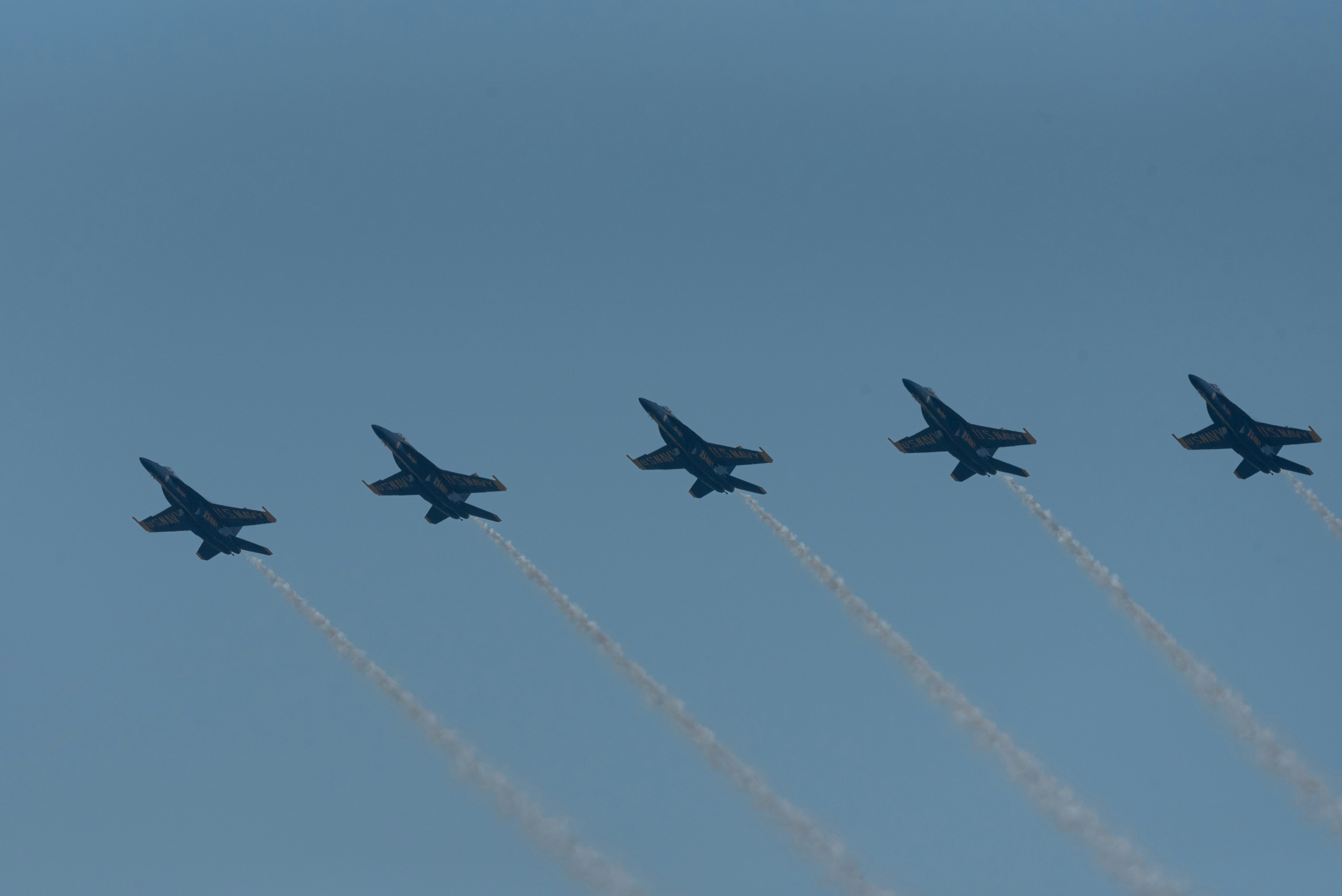 Photo by manuelsilva