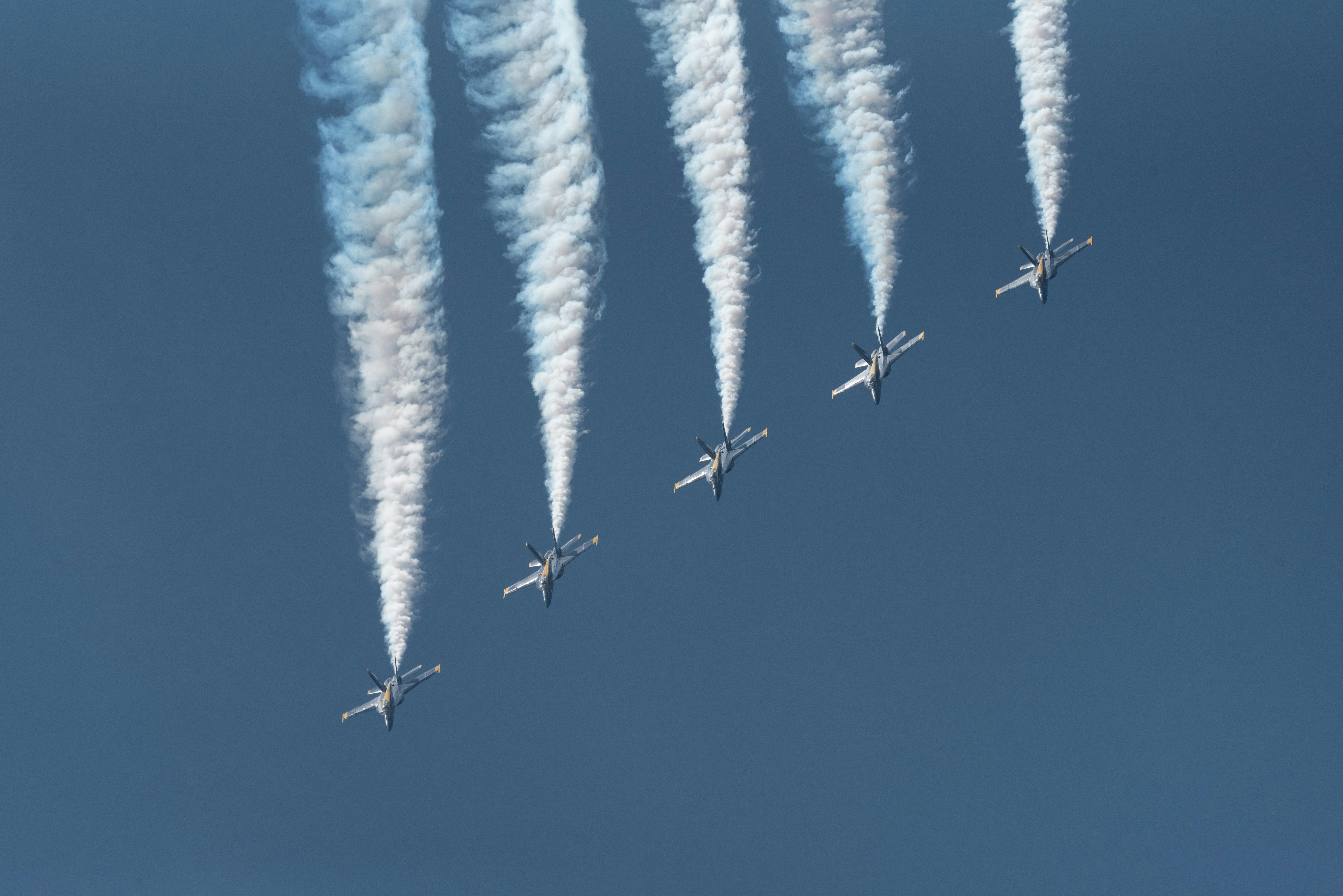 Photo by manuelsilva