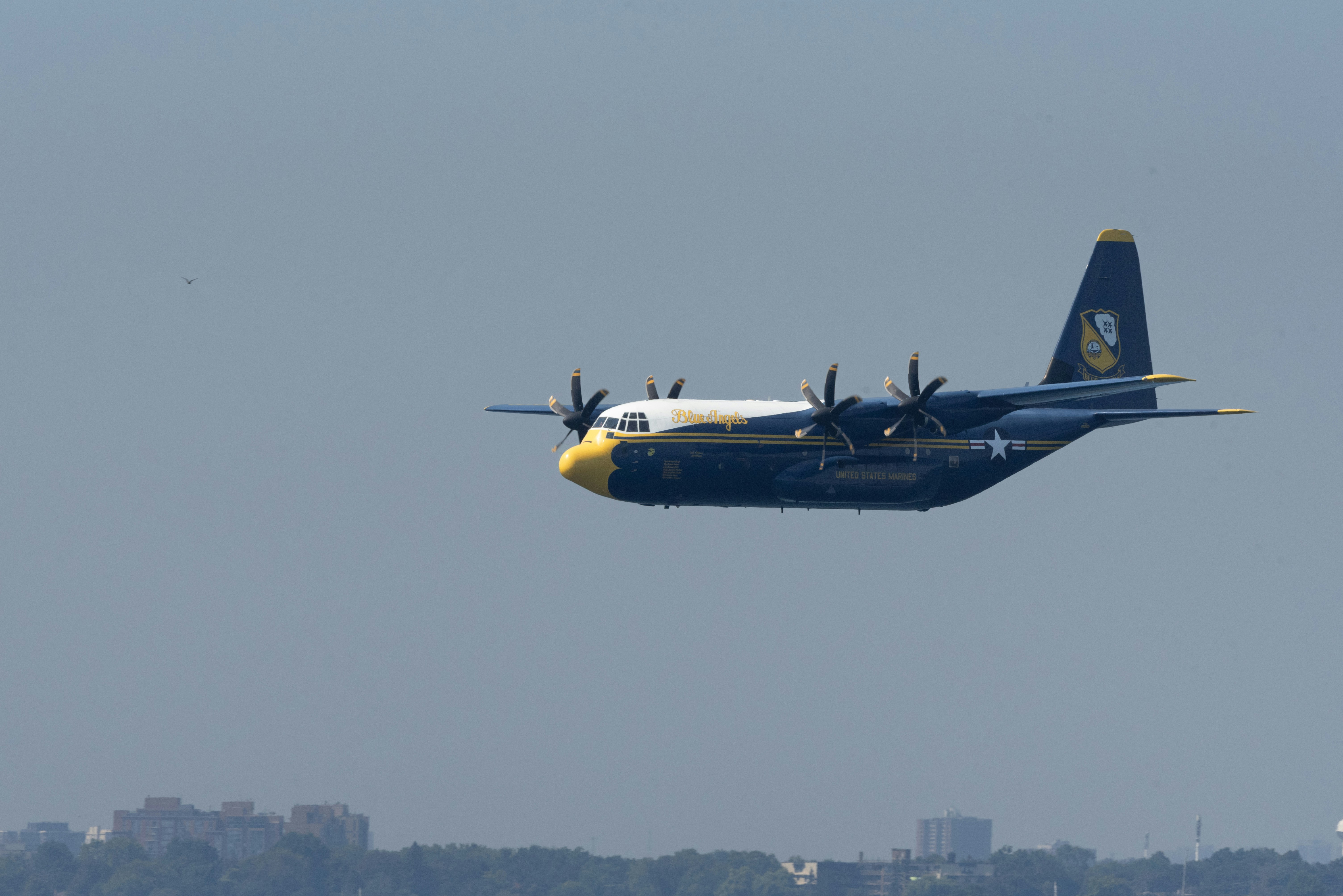 a blue and white plane flying over a city