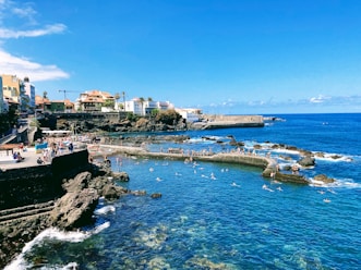 a group of people swimming in a body of water