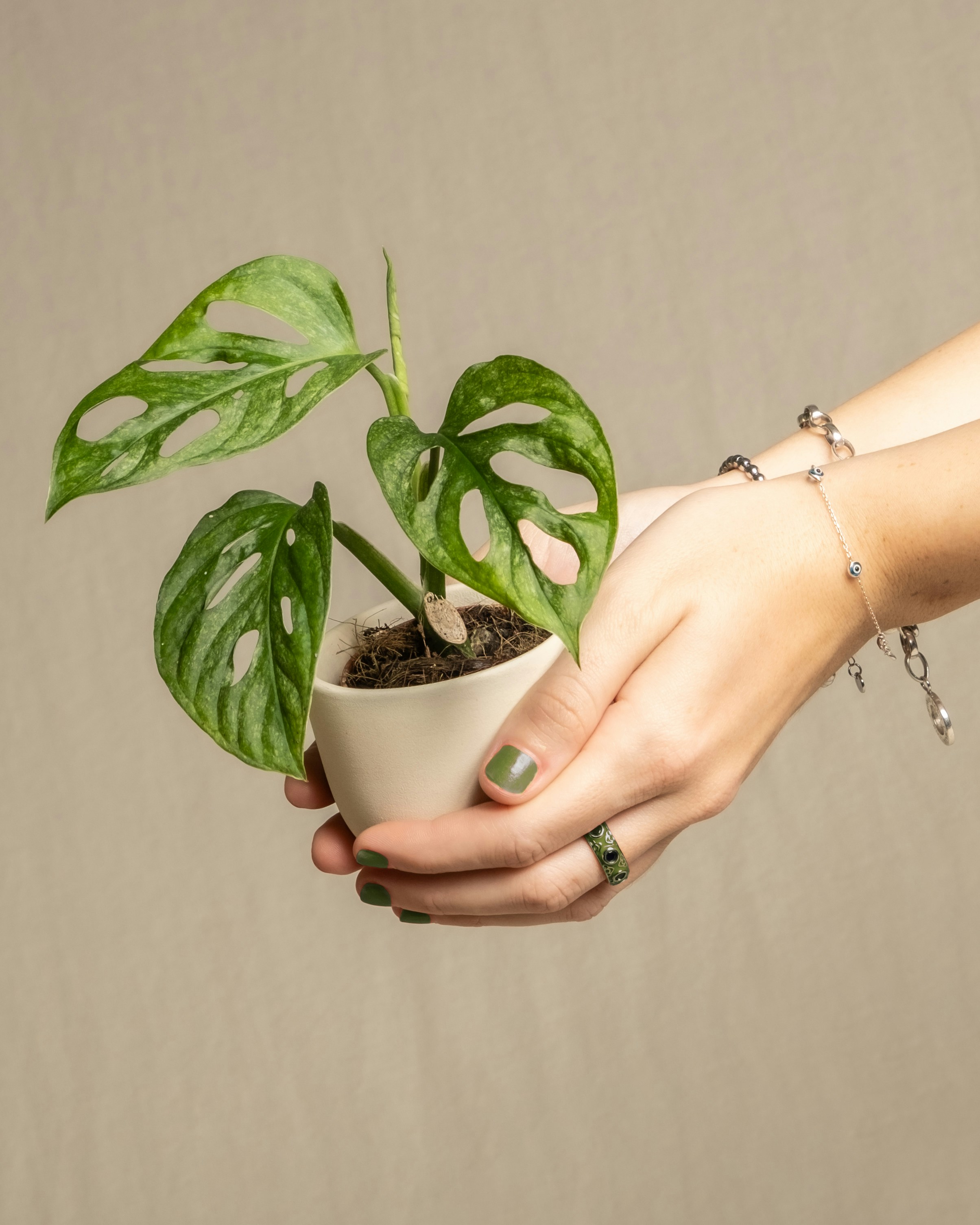 Photo by feeypflanzen