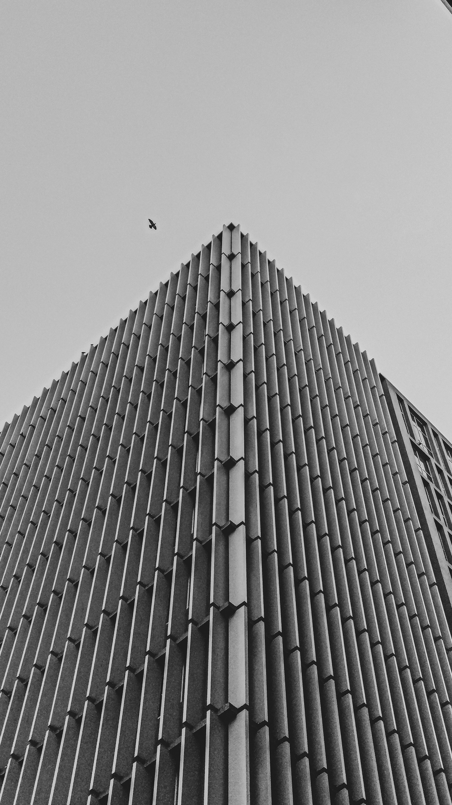 Photo by suhit_panchal