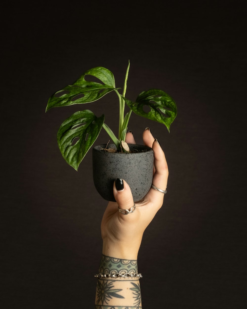 a person holding a potted plant in their hand