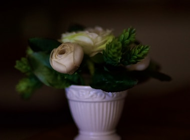 A delicate floral arrangement features cream-colored roses surrounded by lush greenery, placed in a white, textured ceramic vase against a dark, blurred background.