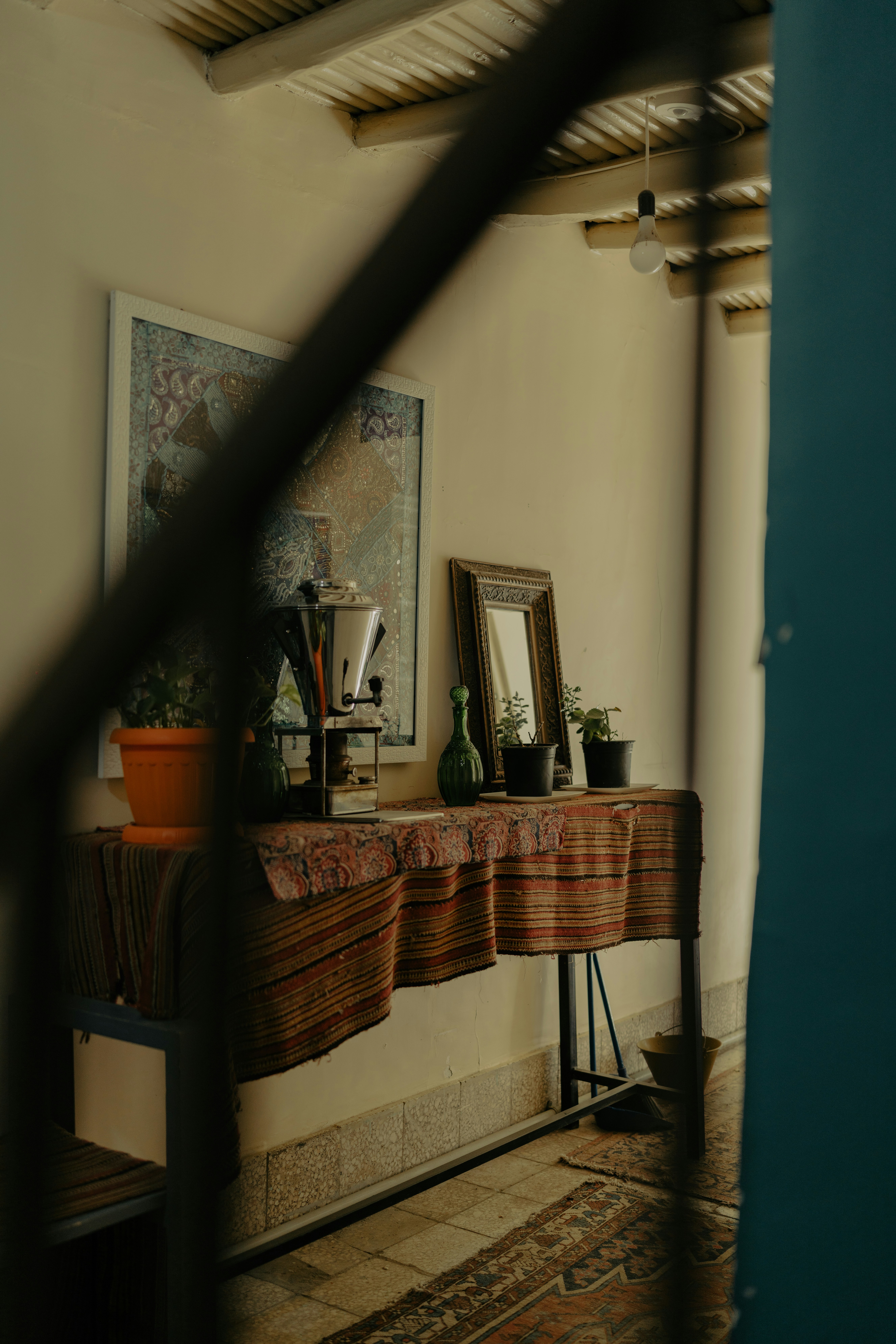 Photo by mohsenamerri