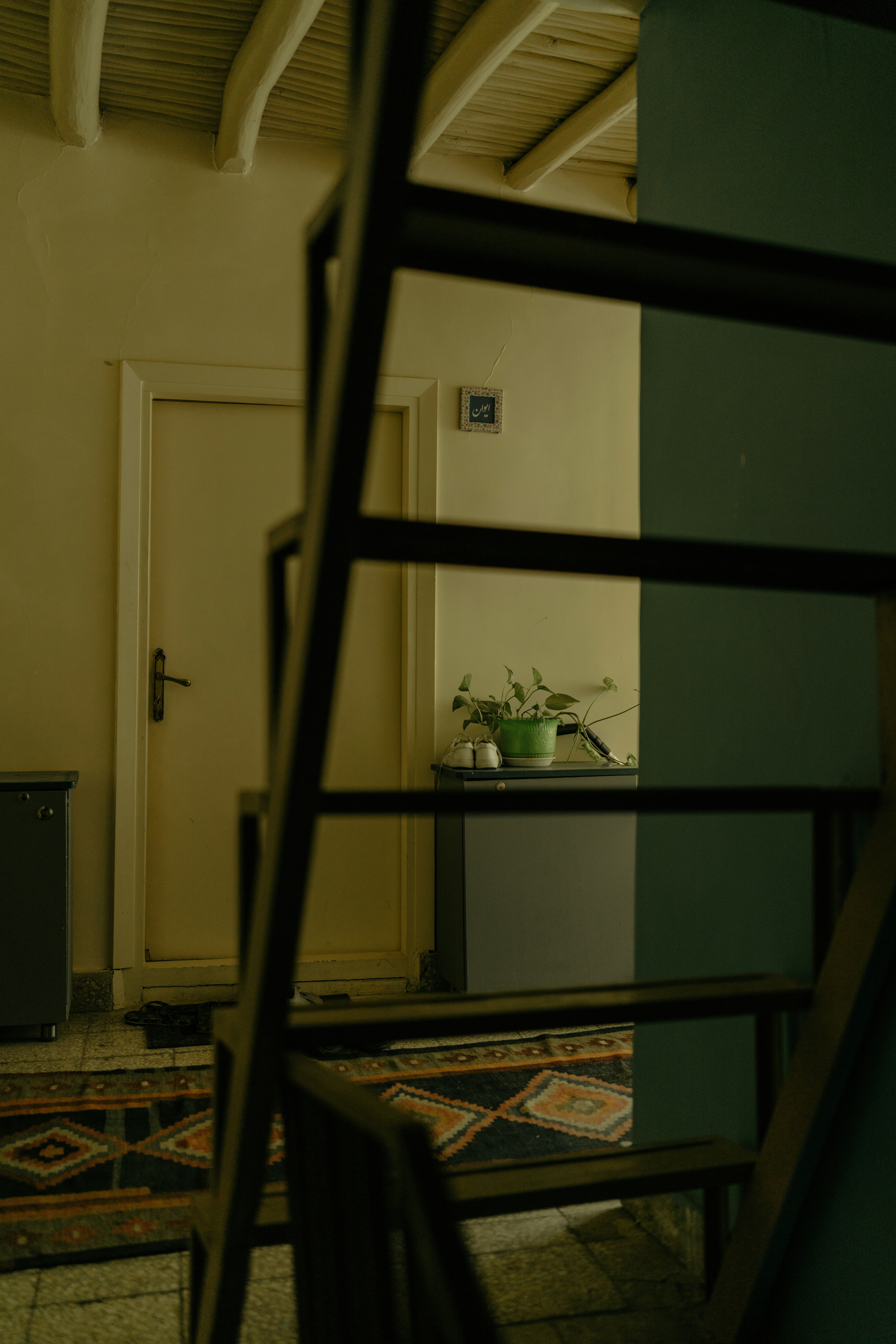 Photo by mohsenamerri