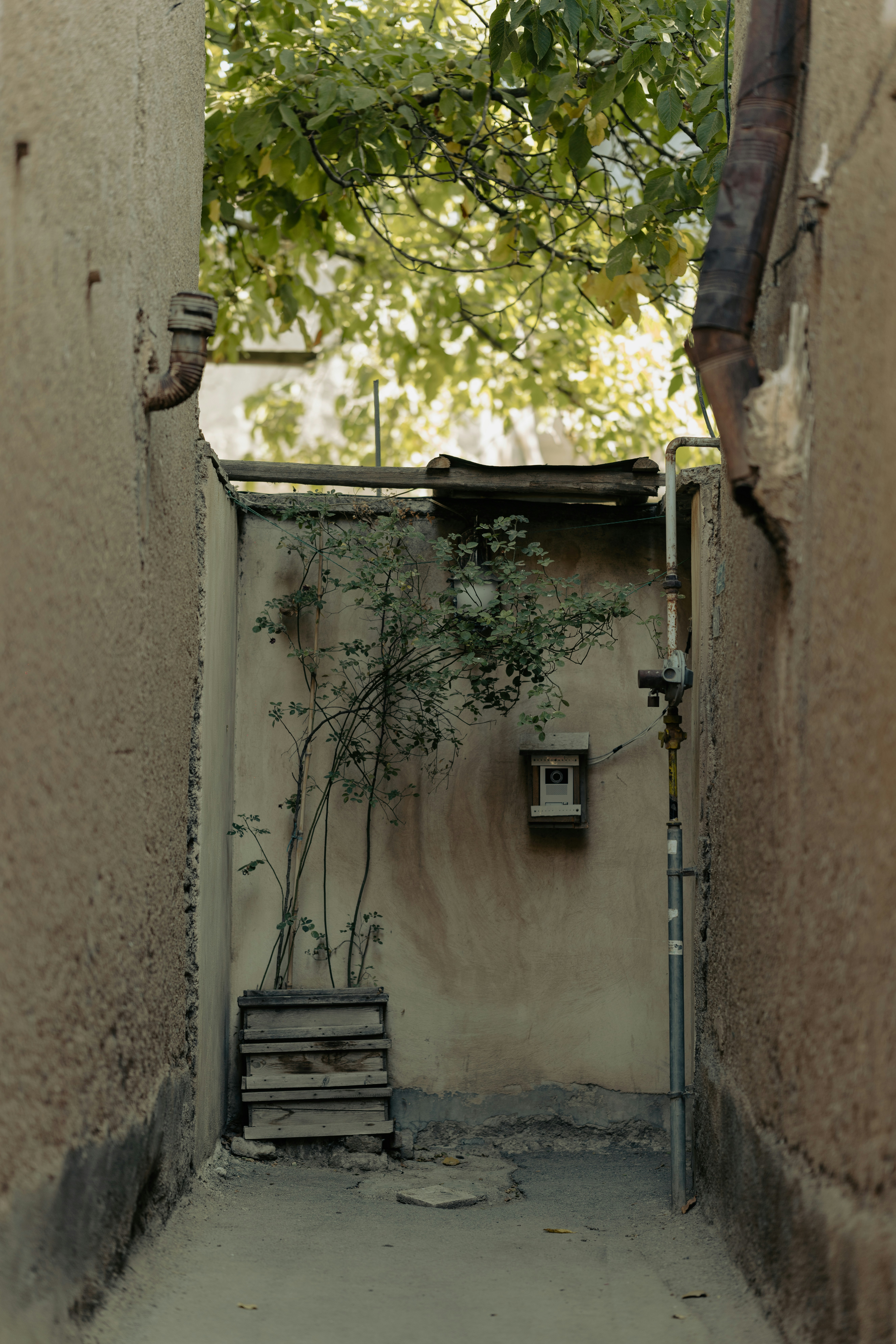 Photo by mohsenamerri