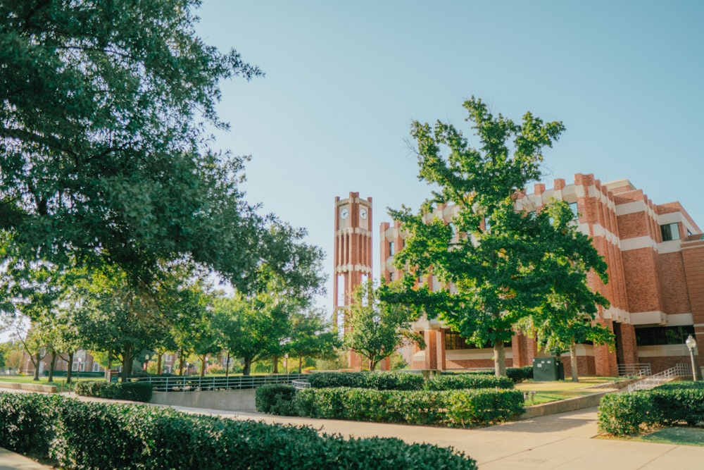 a college campus with a clock tower in the background