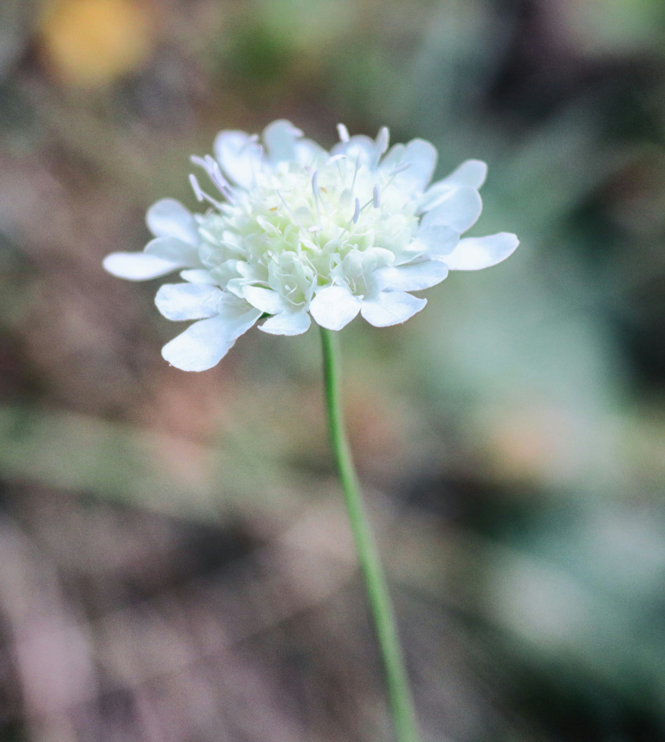Prayer - 我想活成一位有故事的人

每天看著社群網站看著大家的過著形形色色的生活，我也好想為別人故事中的角色

但我也有故事，我也是我故事裡的主角，我想要大家知道我

不想被