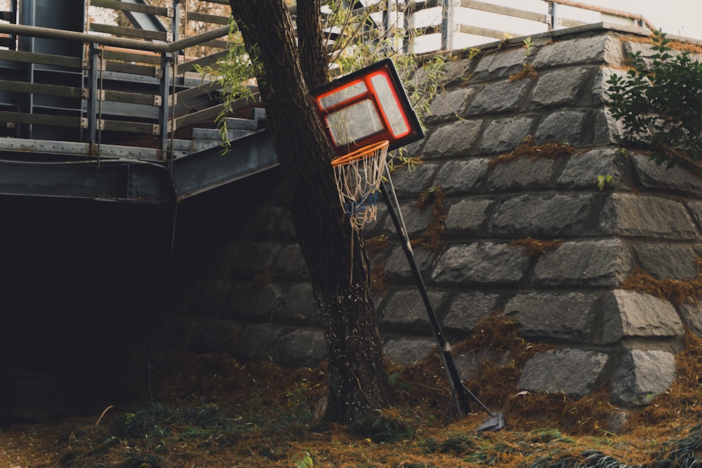 a basketball hoop hanging from the side of a tree