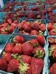 Fresh strawberries and blueberries in a woven basket on a kitchen counter.