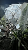 A lush indoor environment featuring a glass dome ceiling with a tree structure in the center surrounded by various green plants and foliage. There is also an animal, possibly a lemur, situated on a rock.