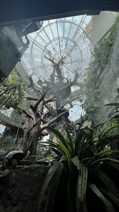 A lush indoor environment featuring a glass dome ceiling with a tree structure in the center surrounded by various green plants and foliage. There is also an animal, possibly a lemur, situated on a rock.