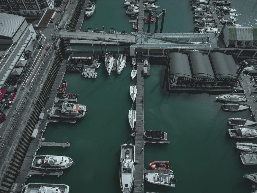 a harbor filled with lots of boats next to a bridge