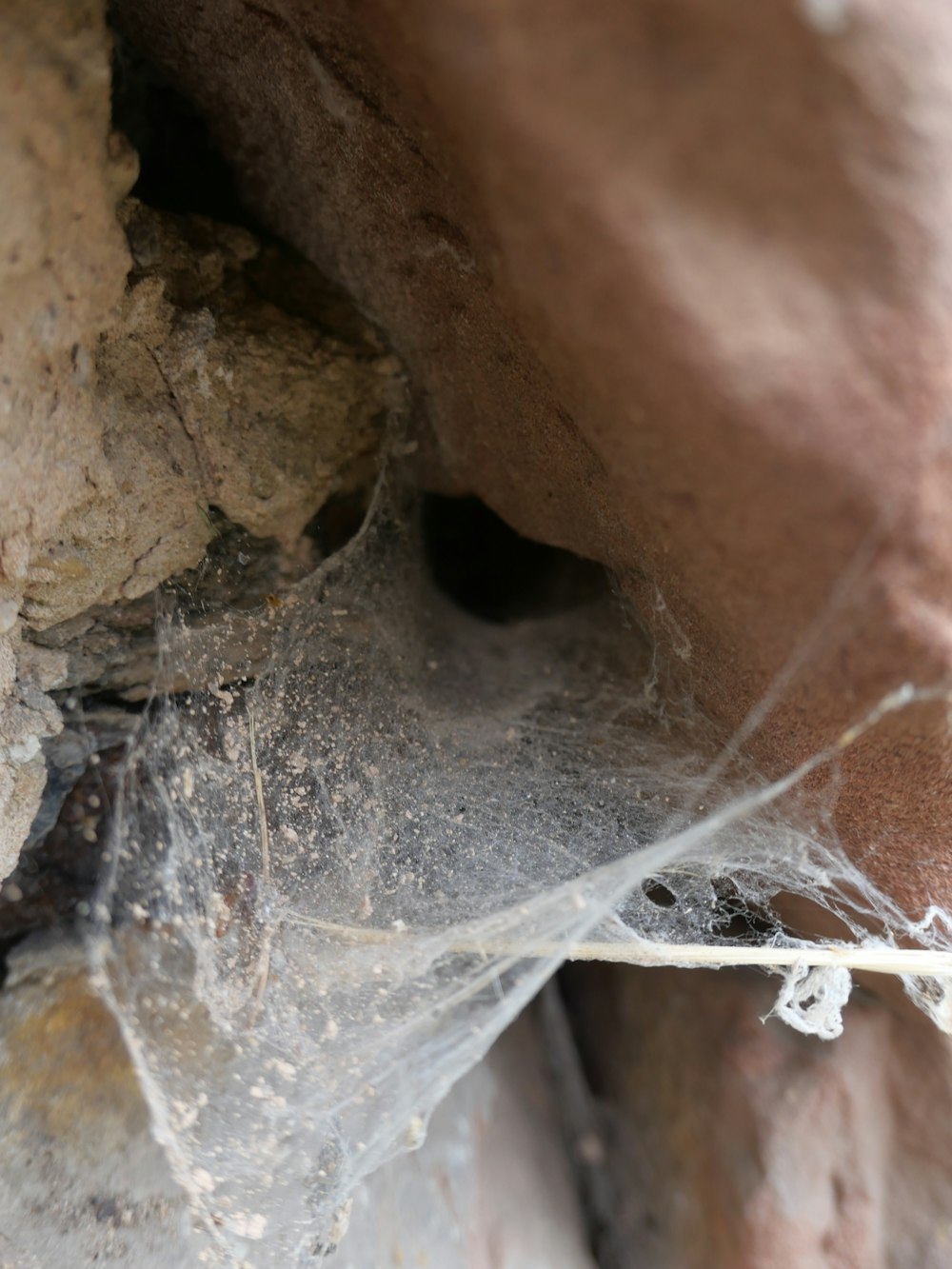 a close up of a spider web on a rock