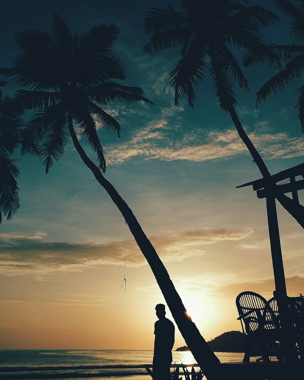 a man standing on a beach next to a palm tree