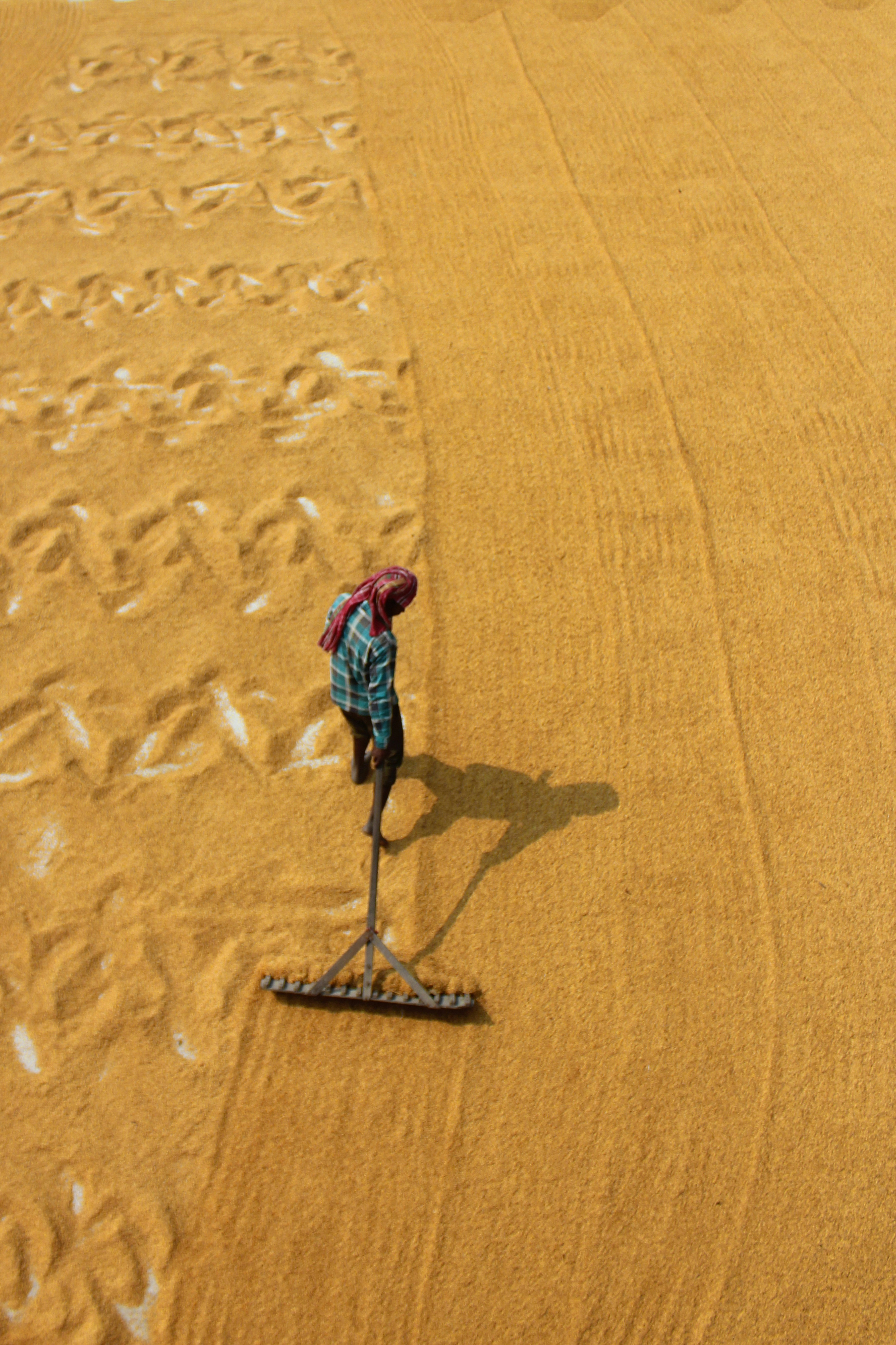 Photo by dibakar16roy