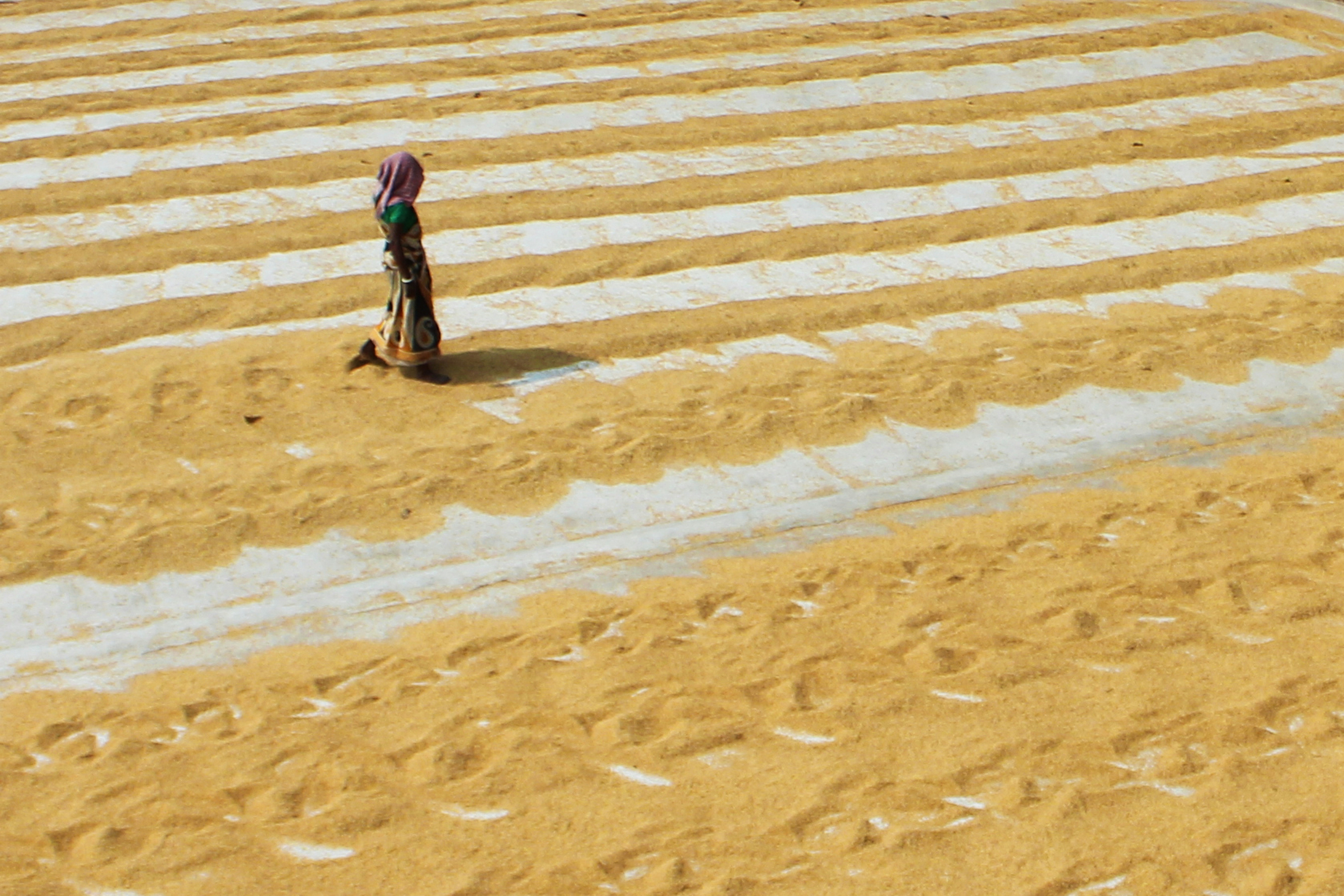 Photo by dibakar16roy