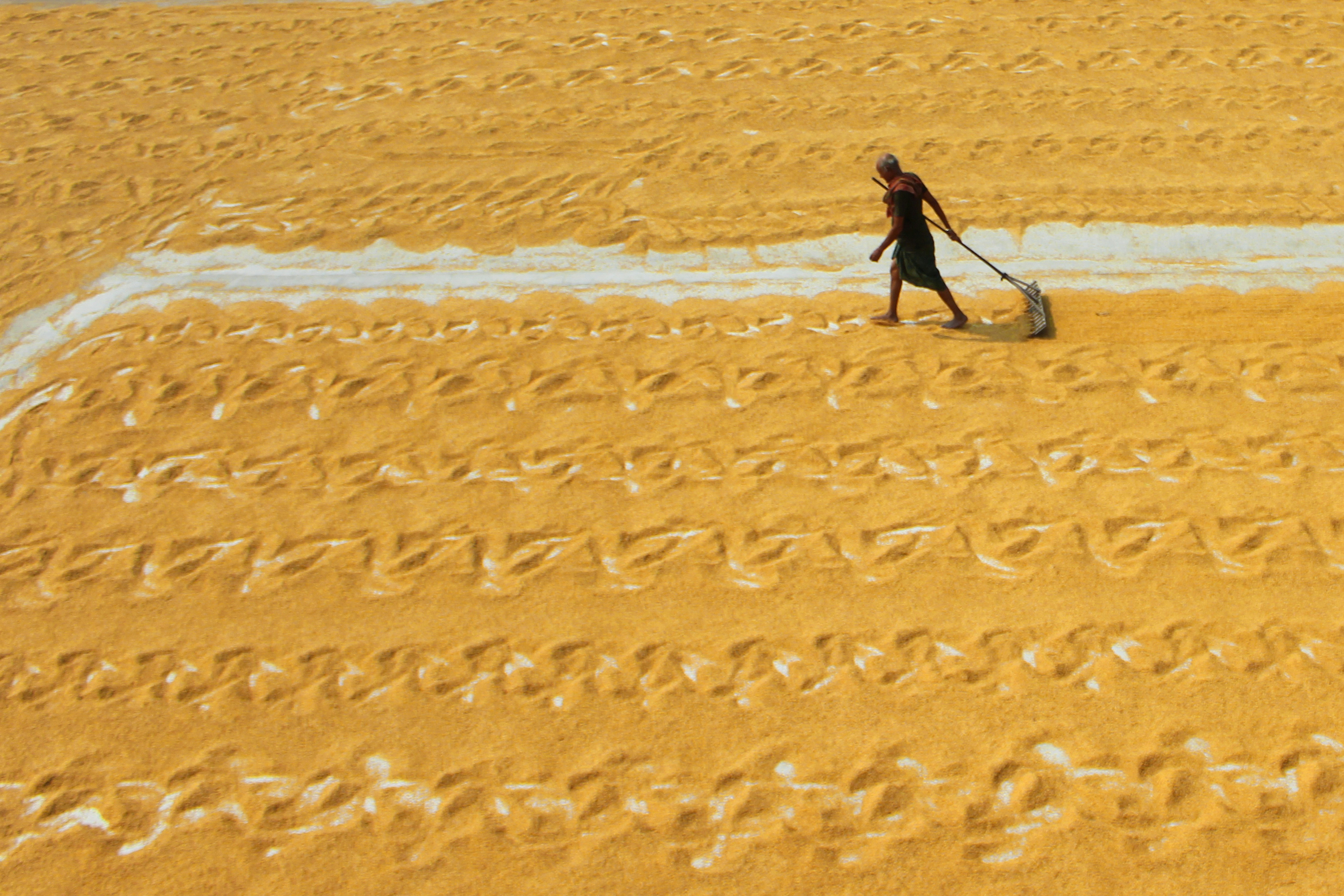 Photo by dibakar16roy