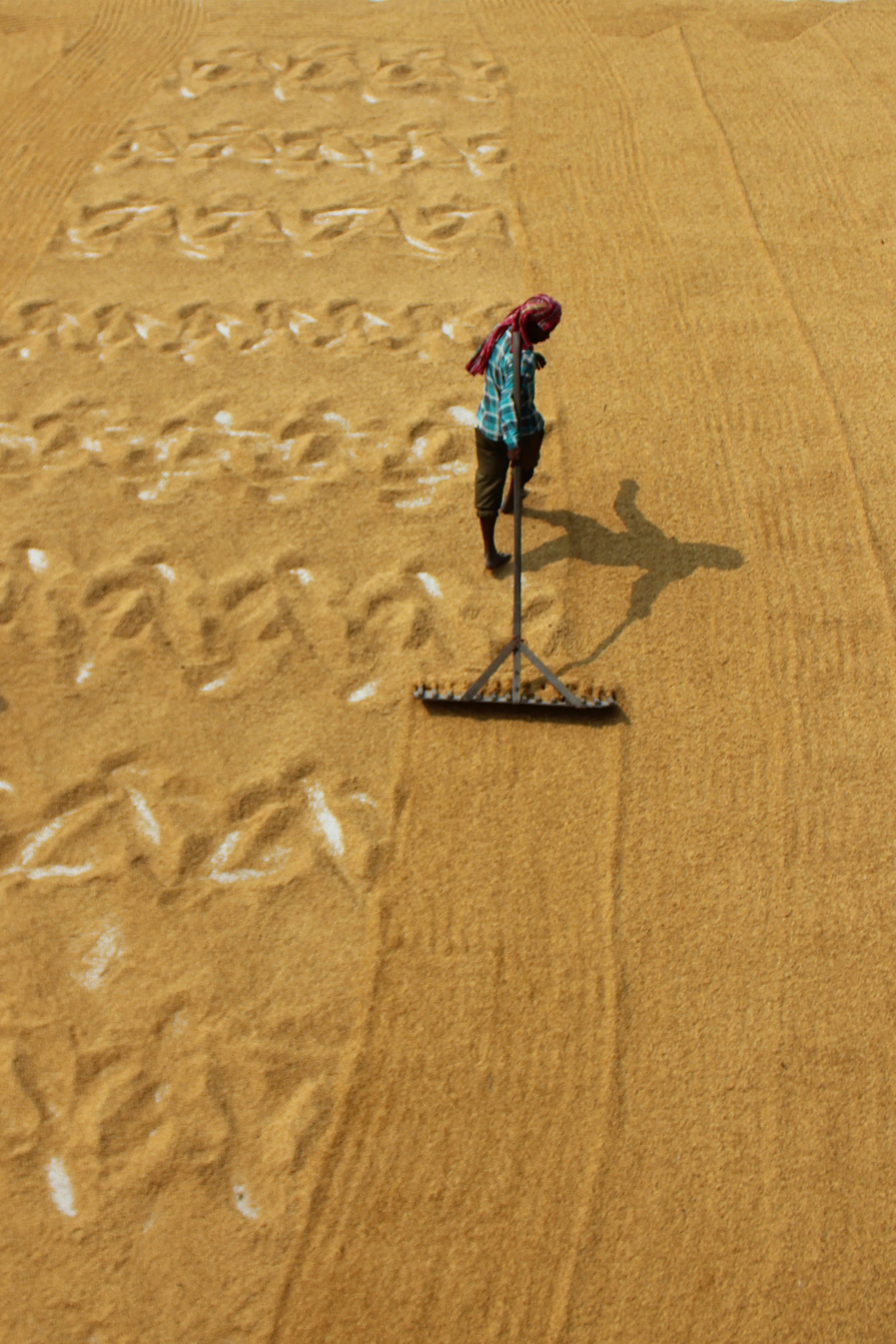 Photo by dibakar16roy