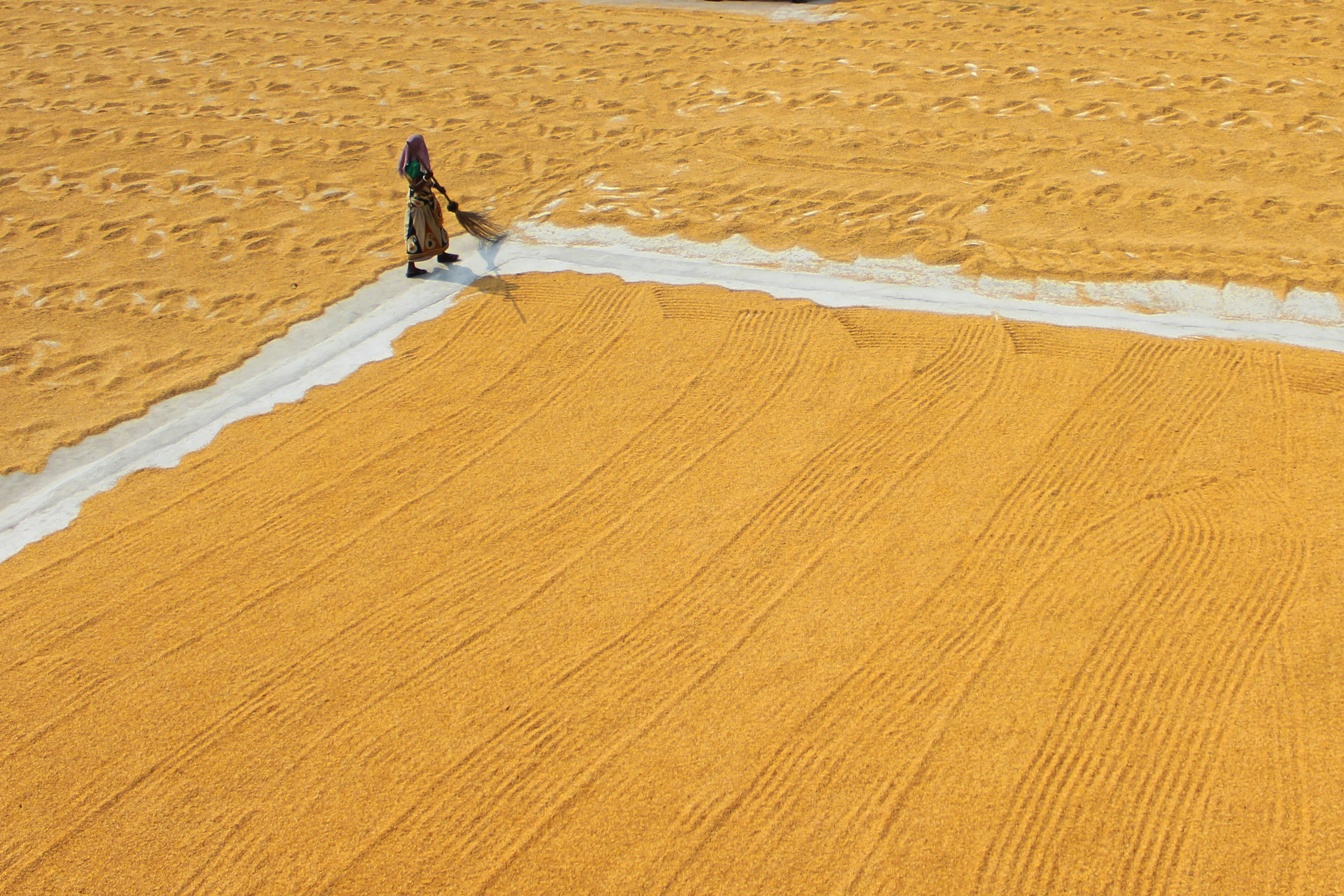 Photo by dibakar16roy