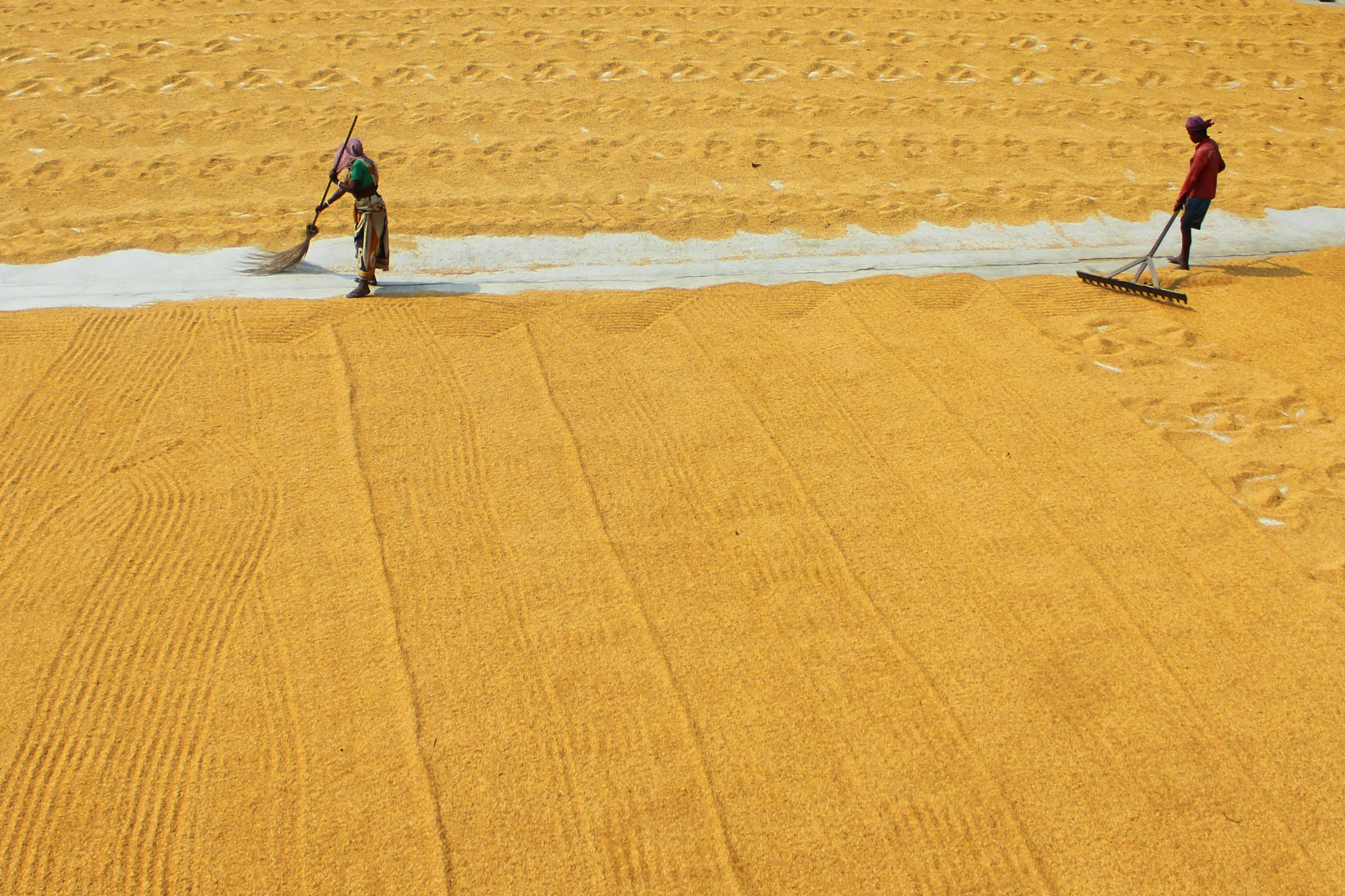 Photo by dibakar16roy