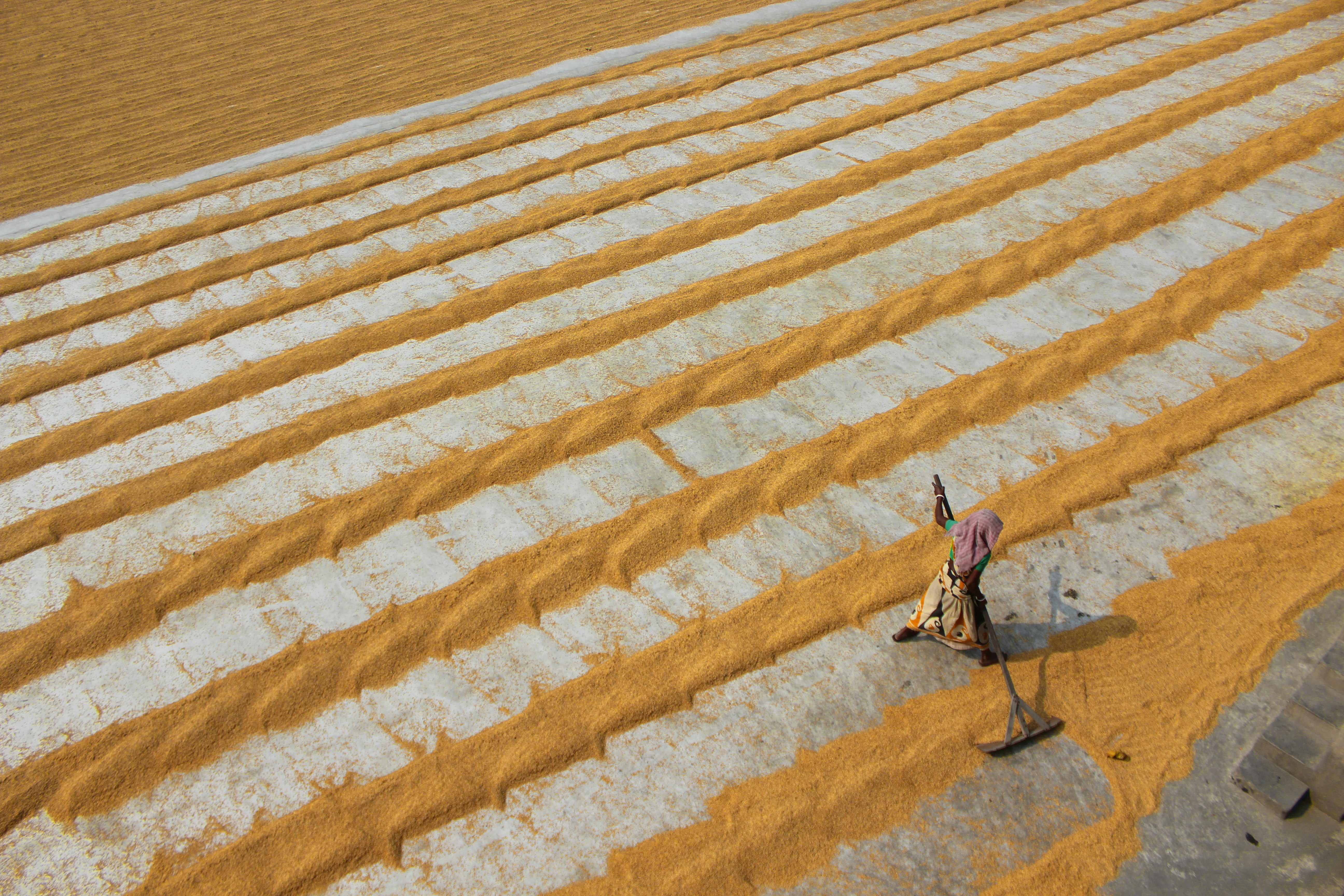 Photo by dibakar16roy