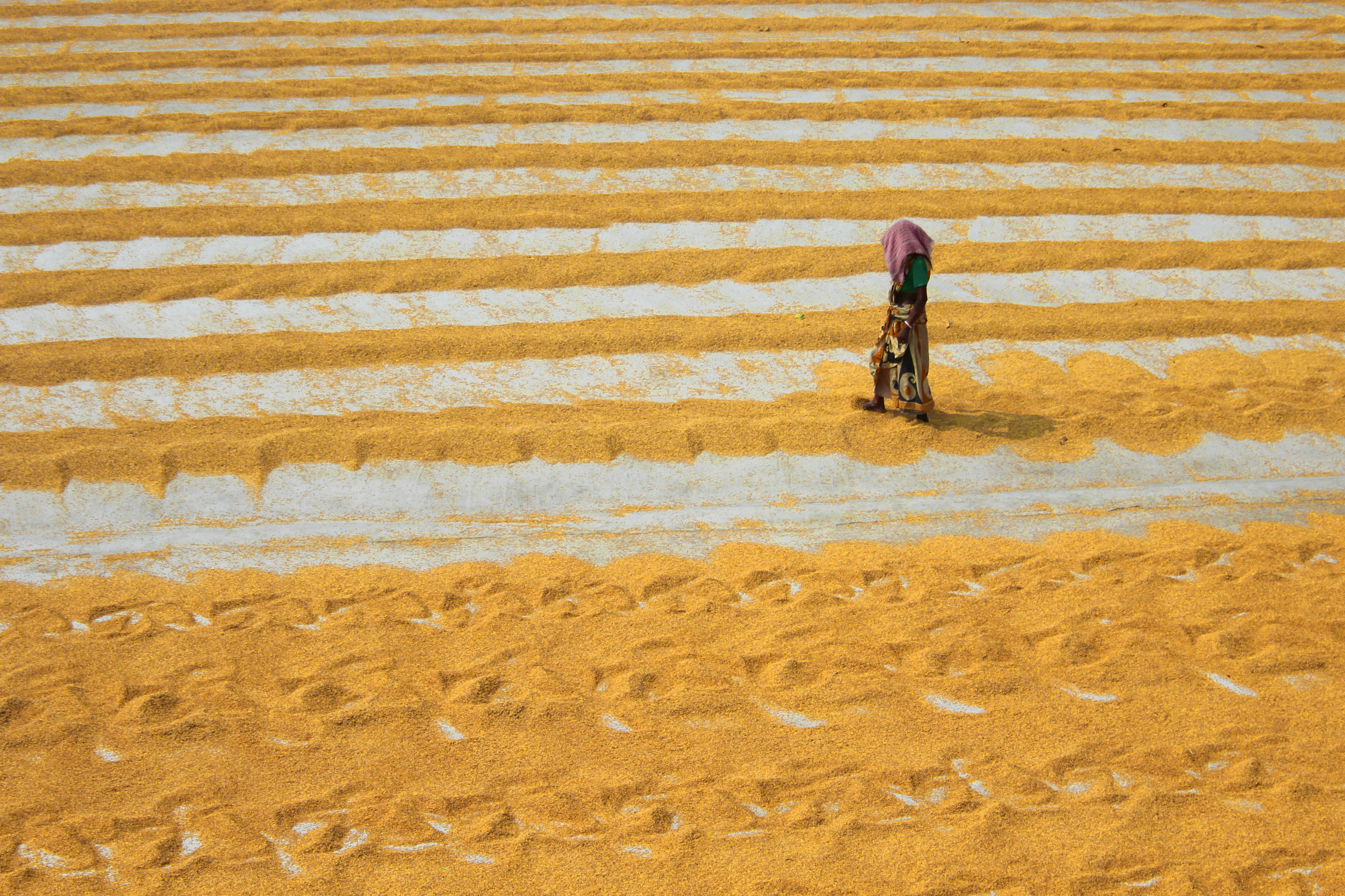 Photo by dibakar16roy