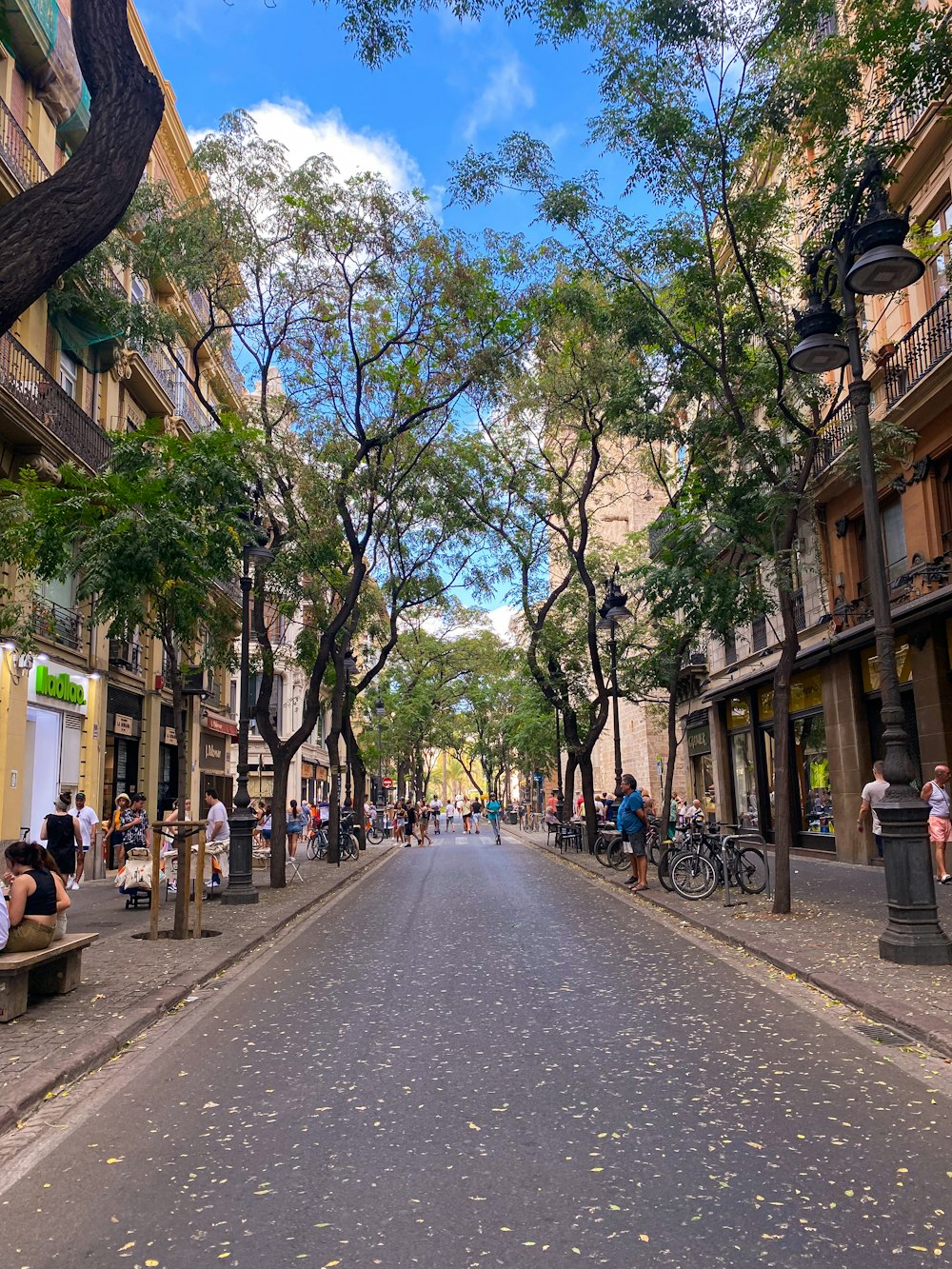 Una calle de la ciudad bordeada de edificios altos y árboles