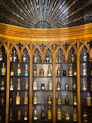 An antique cabinet filled with unique curiosities and artifacts.