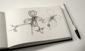 A sketchbook lies open to a page featuring detailed pencil drawings of two floral designs. The flowers have intricate petals and stems. Beside the sketchbook is a ballpoint pen with a black tip.
