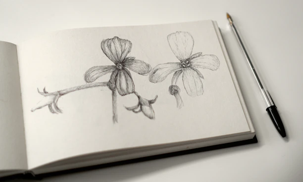Close-up of a hand sketching delicate flowers in a blank journal under warm, moody lighting.
