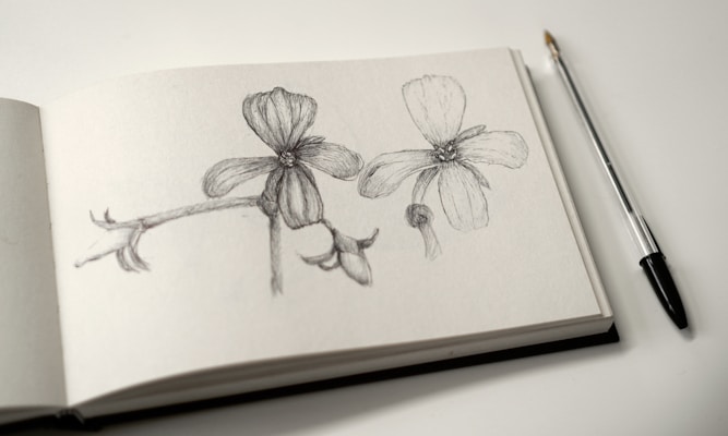 A sketchbook lies open to a page featuring detailed pencil drawings of two floral designs. The flowers have intricate petals and stems. Beside the sketchbook is a ballpoint pen with a black tip.