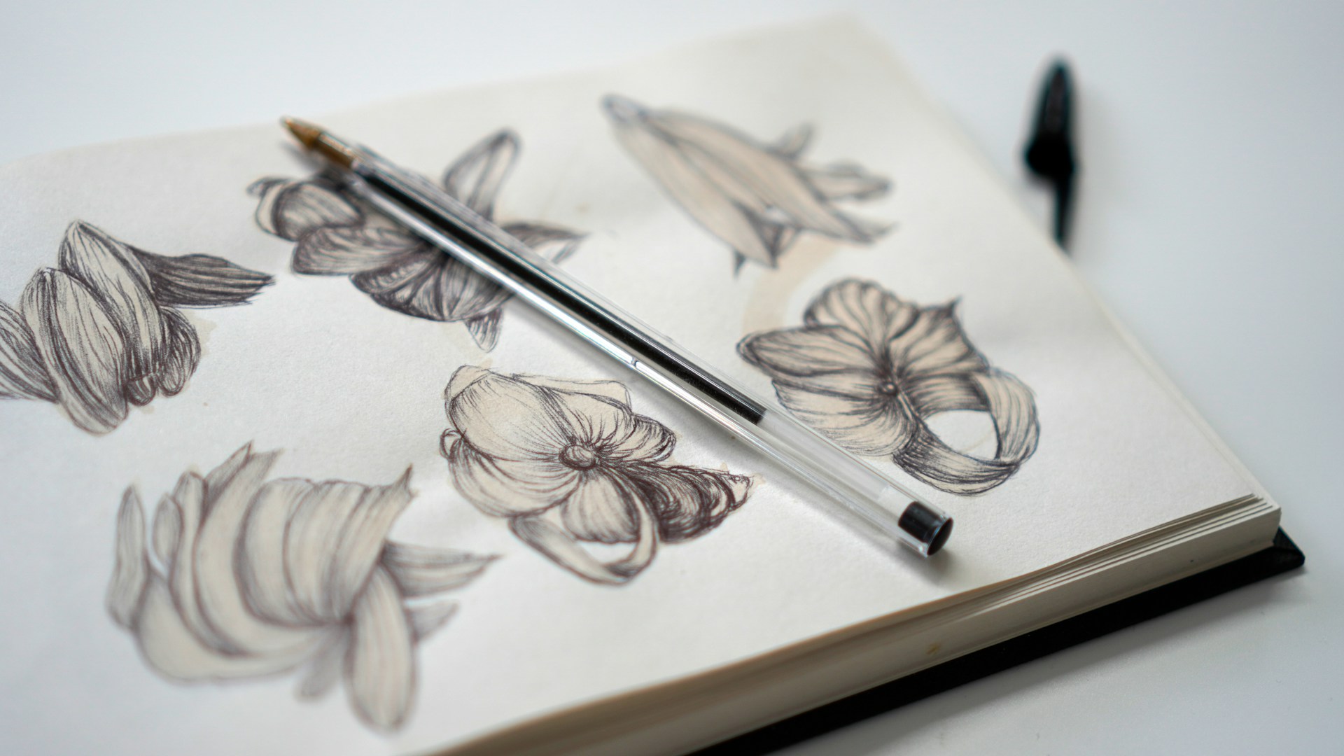 A collection of minimalist tattoo designs sketched on paper, ready to be transformed into affordable art.