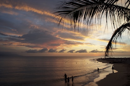 a couple of people standing on top of a beach under a palm tree