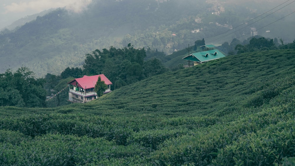 a house on top of a green hill surrounded by trees