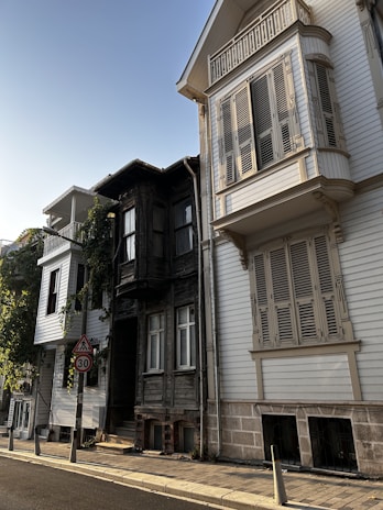 Street view showing a row of houses with green and brown tones blending with nature