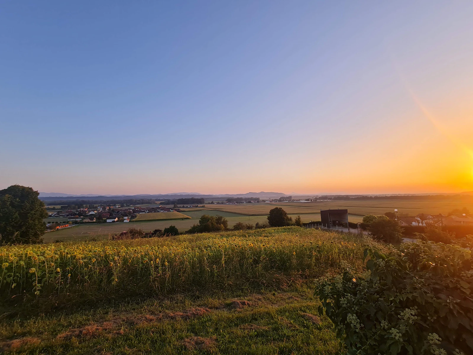 Landsquare Agri Fields