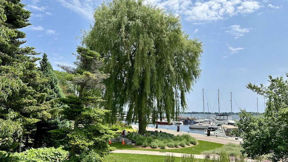 a view of a lake with boats in the water