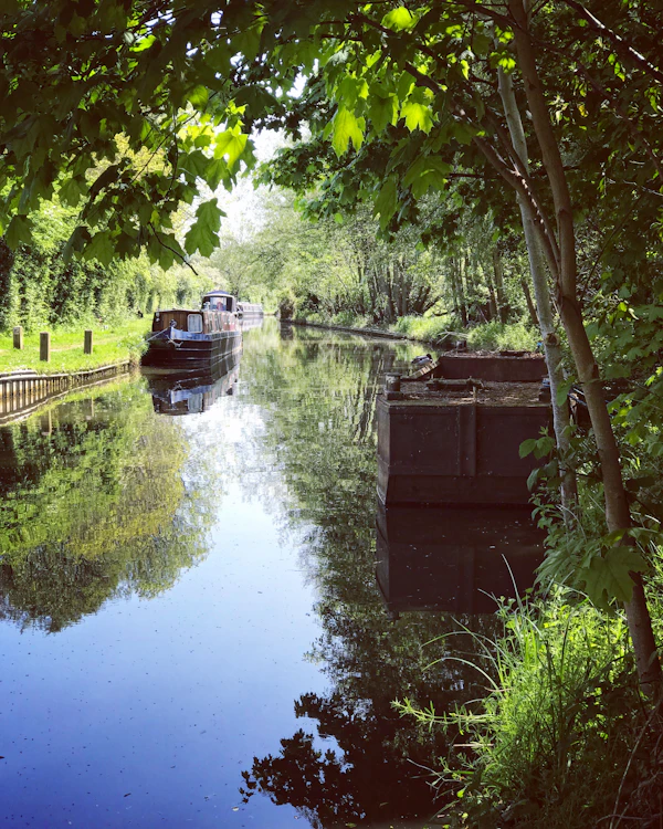 A narrowboat travelling along a peaceful English canal through woodland