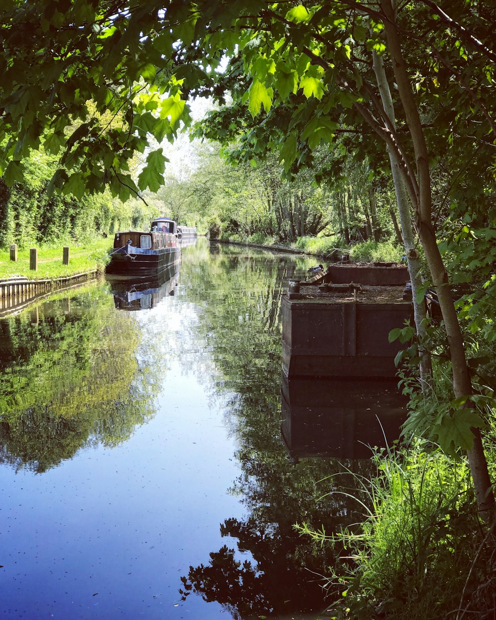 a boat traveling down a river next to a forest