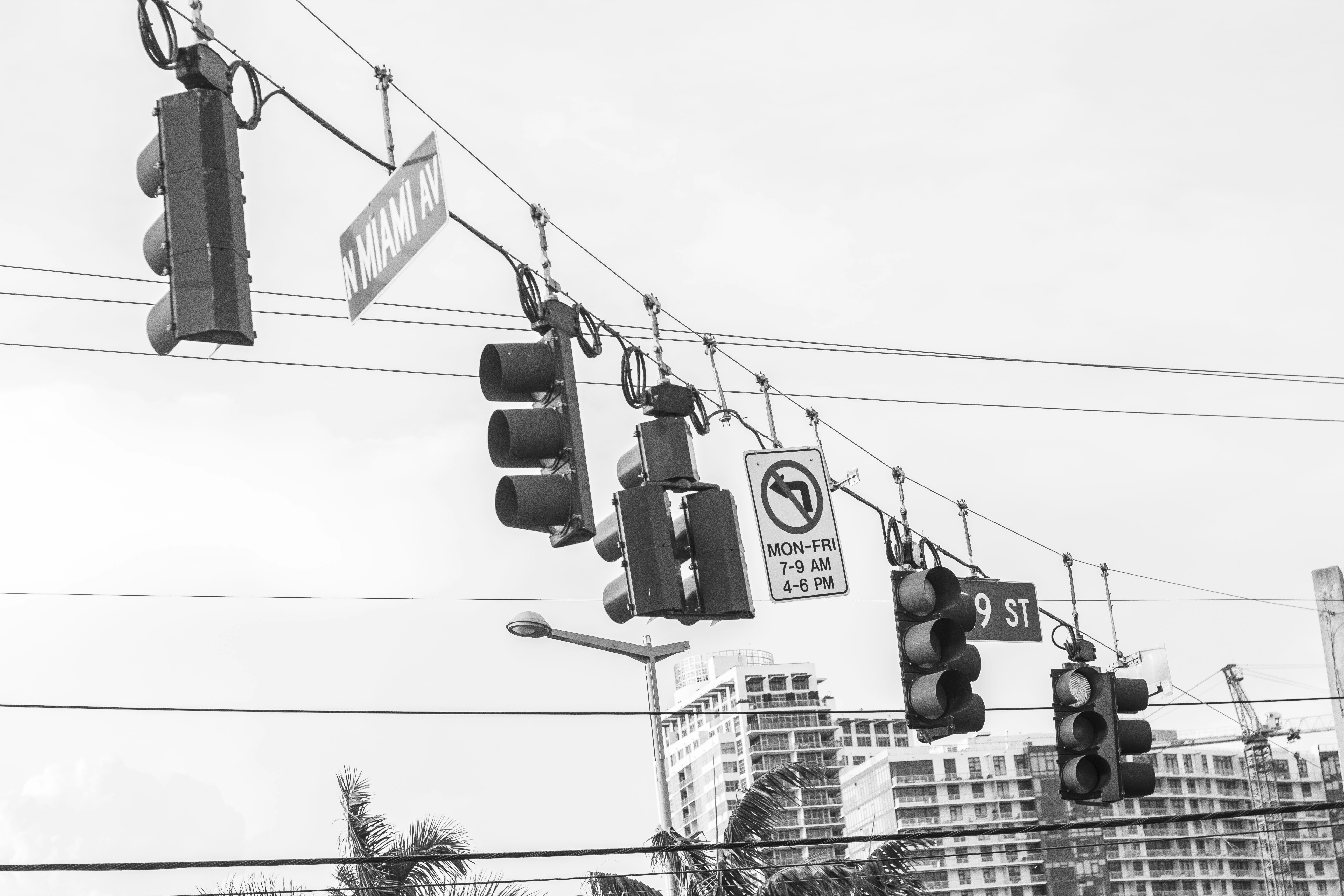 Photo by taravinesmith