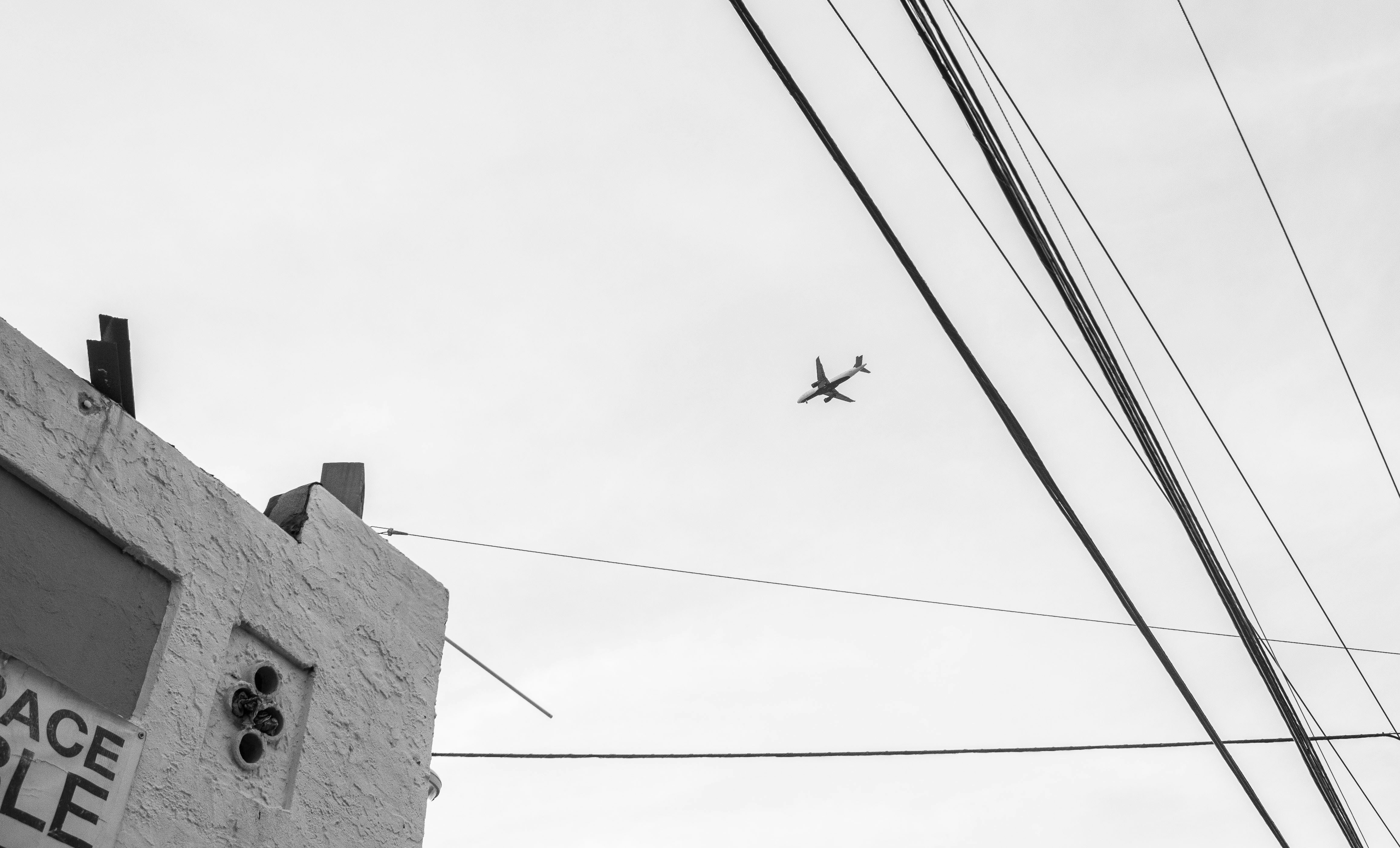 Photo by taravinesmith